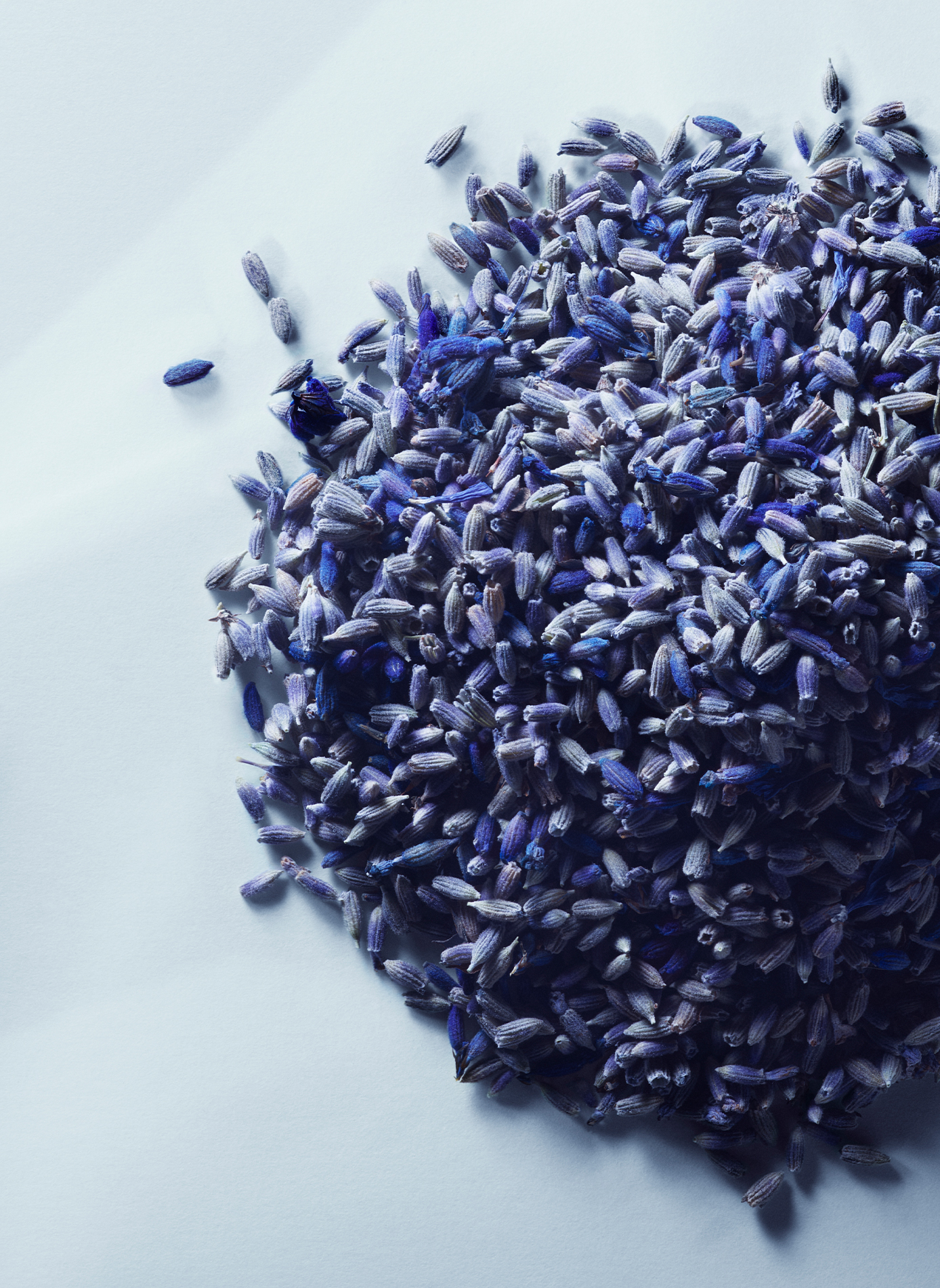 Metal Lavender - Eau de parfum MATIERE PREMIERE No color
