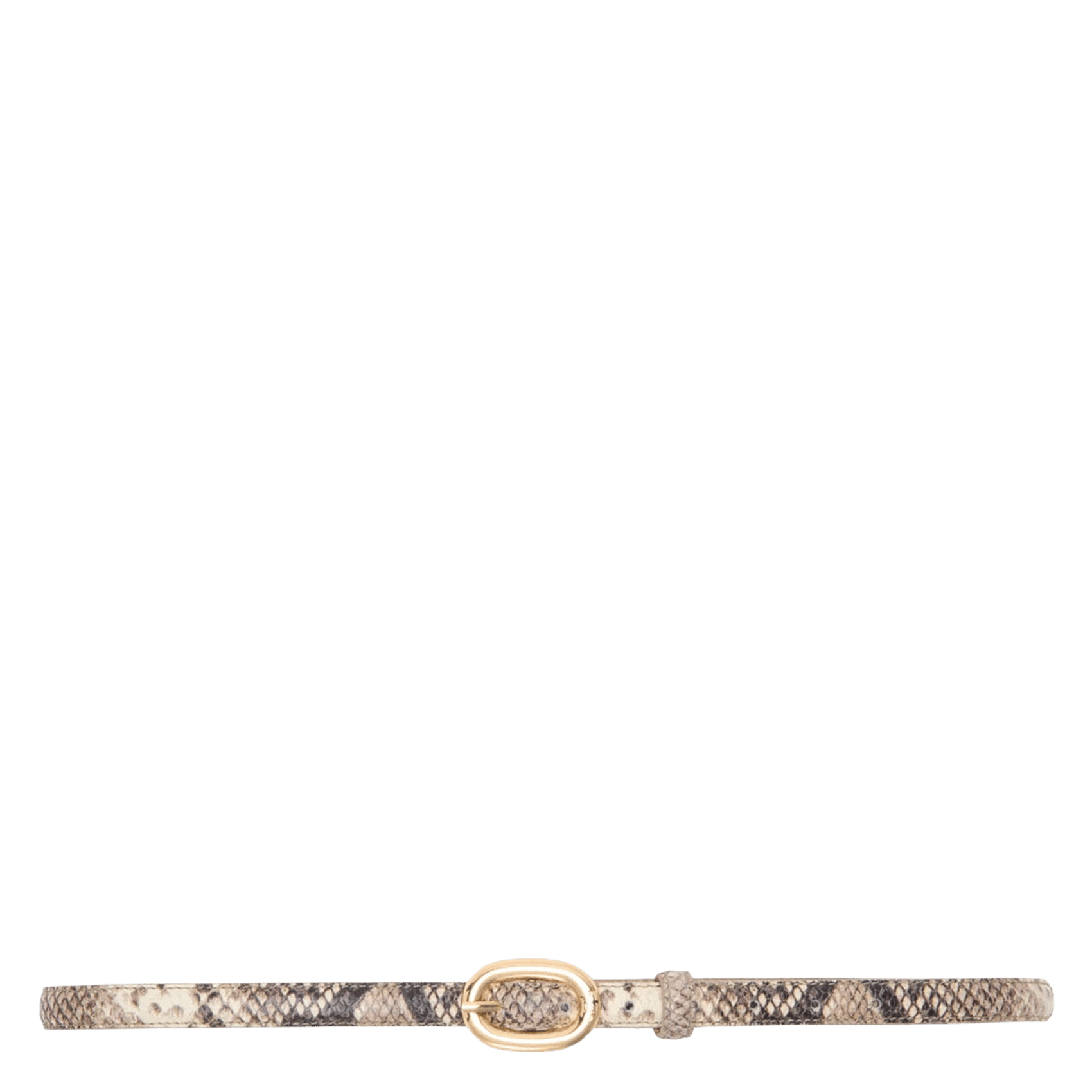 Ceinture fine python en cuir MAJE Multicolore