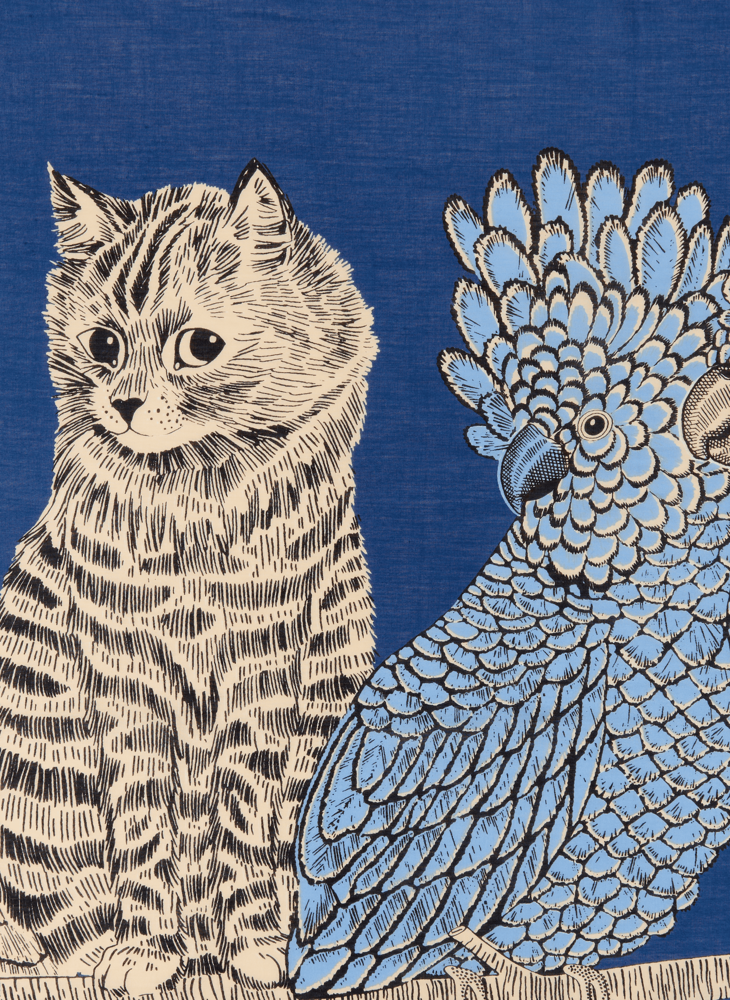 Printed cotton scarf INOUI EDITIONS Blue