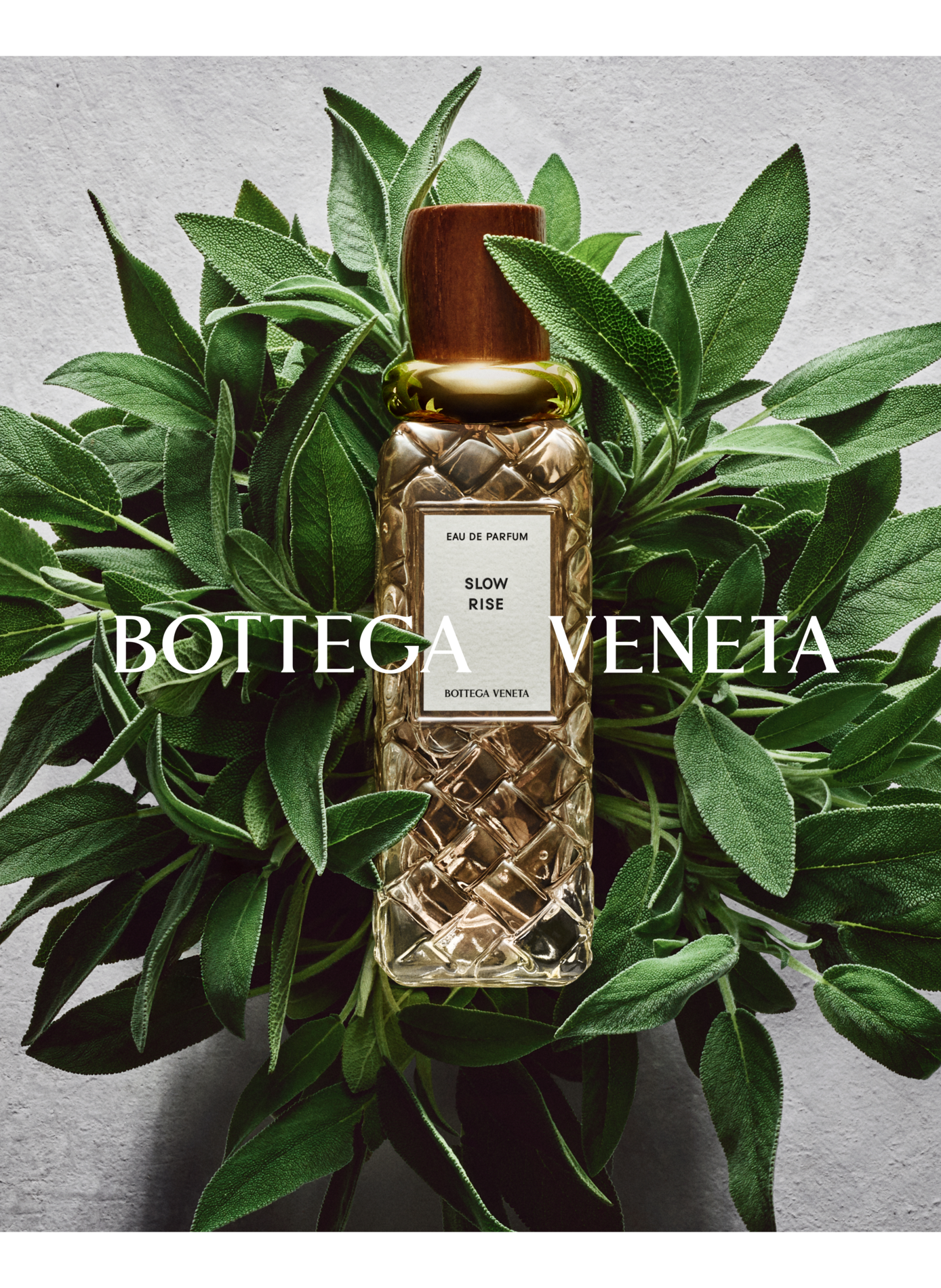 Slow Rise - Eau de Parfum BOTTEGA VENETA No color