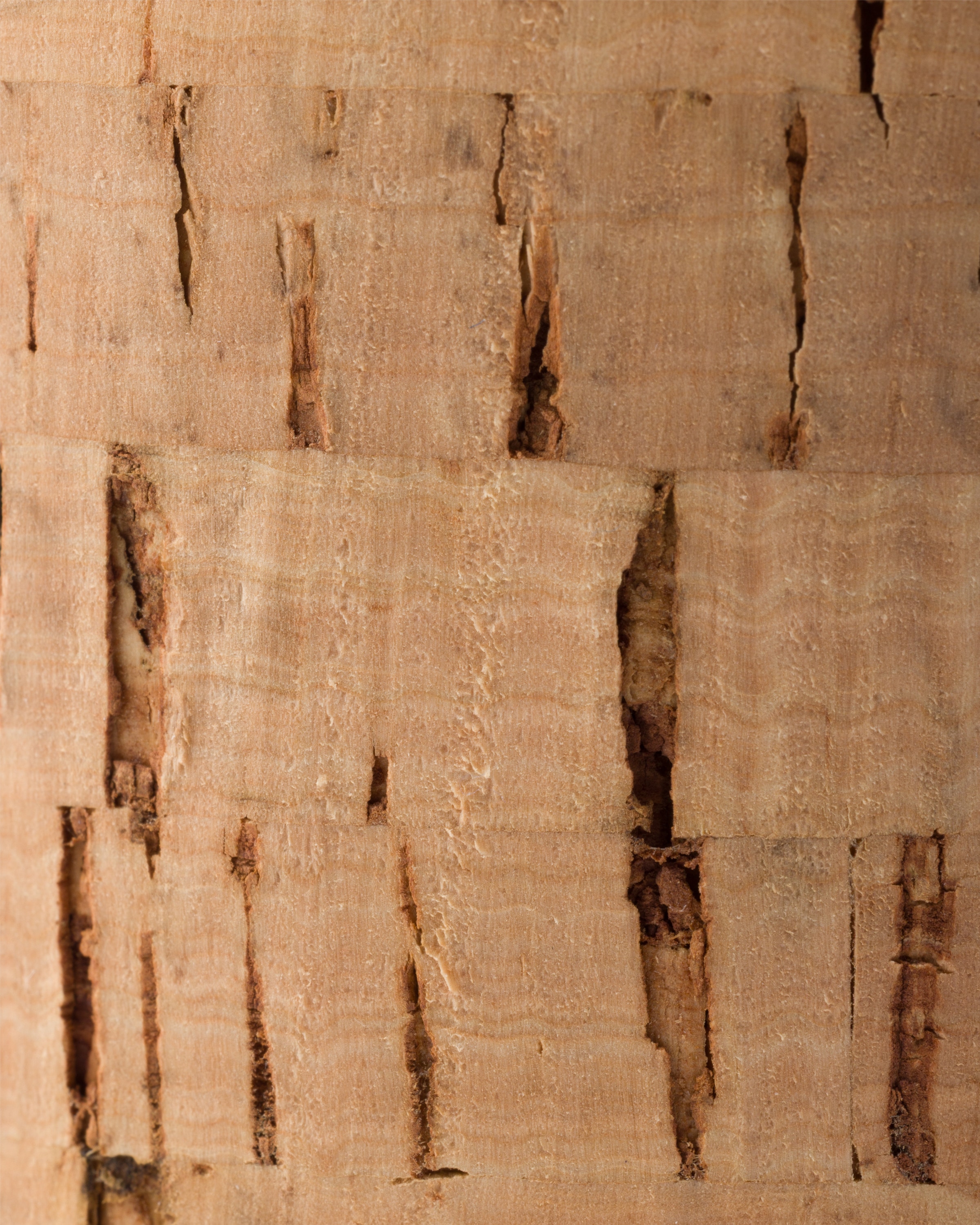 Sandales à plateforme en crochet PRADA Beige