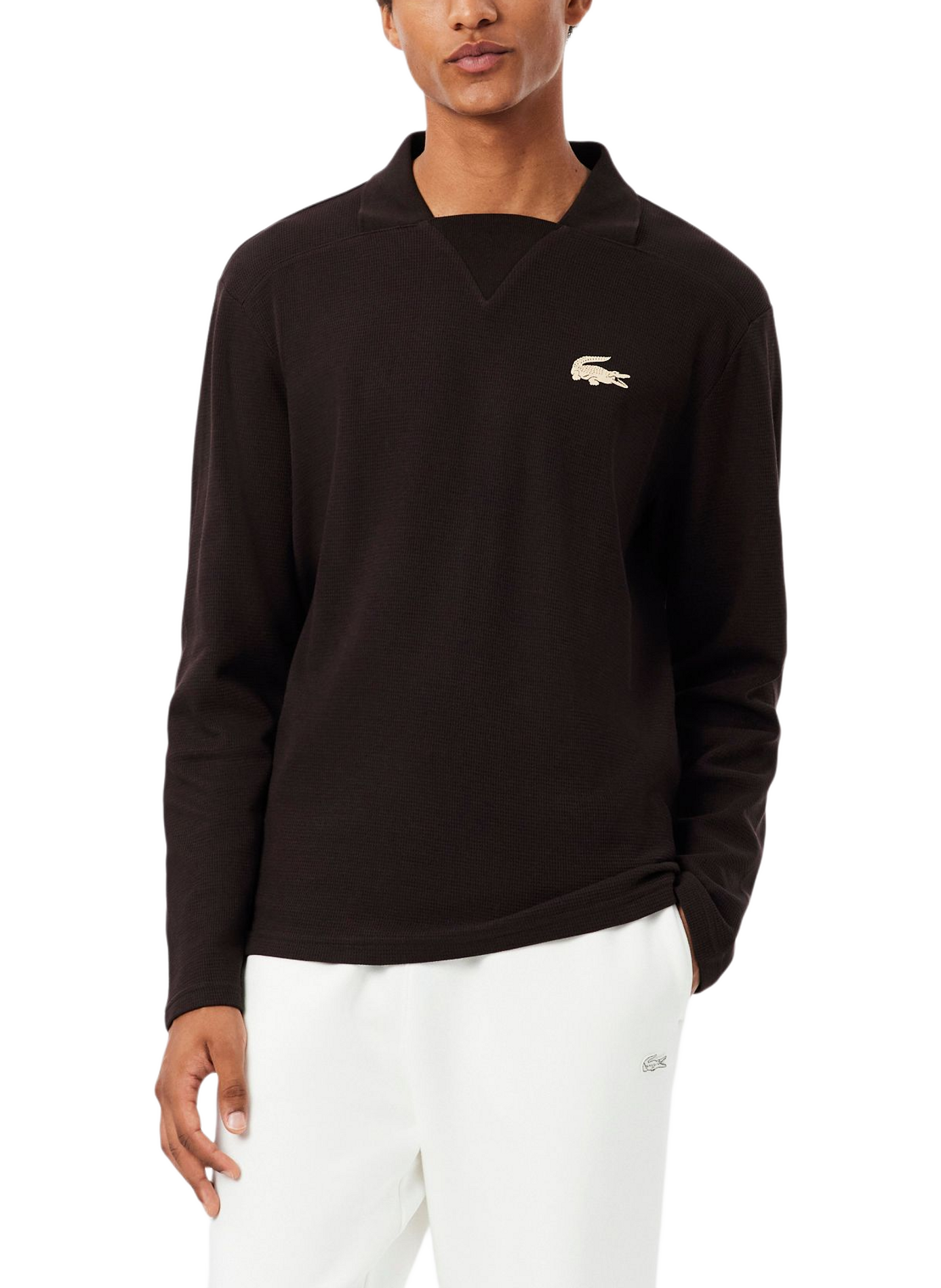 Sweat droit uni en coton LACOSTE Marron