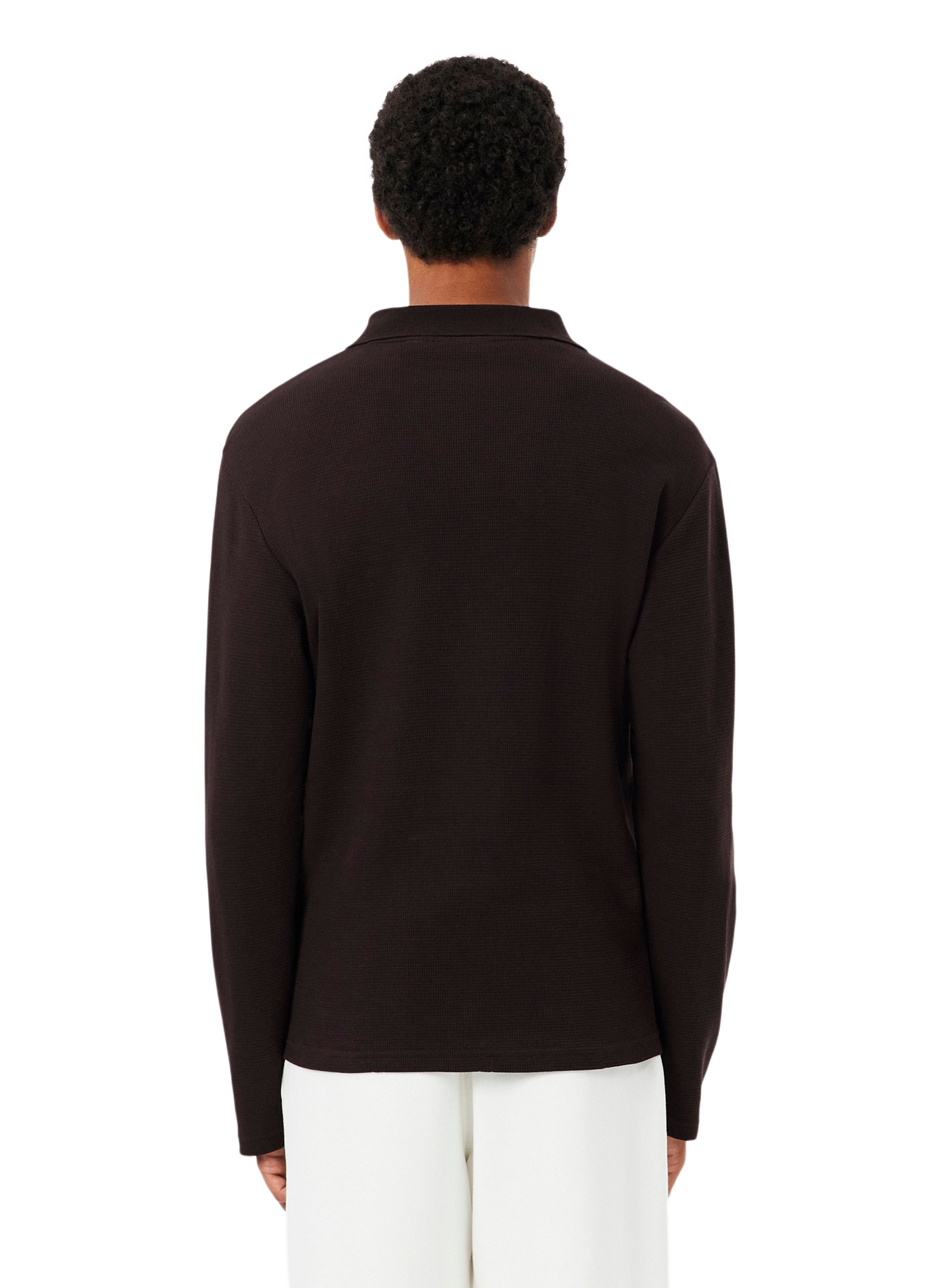 Sweat droit uni en coton LACOSTE Marron