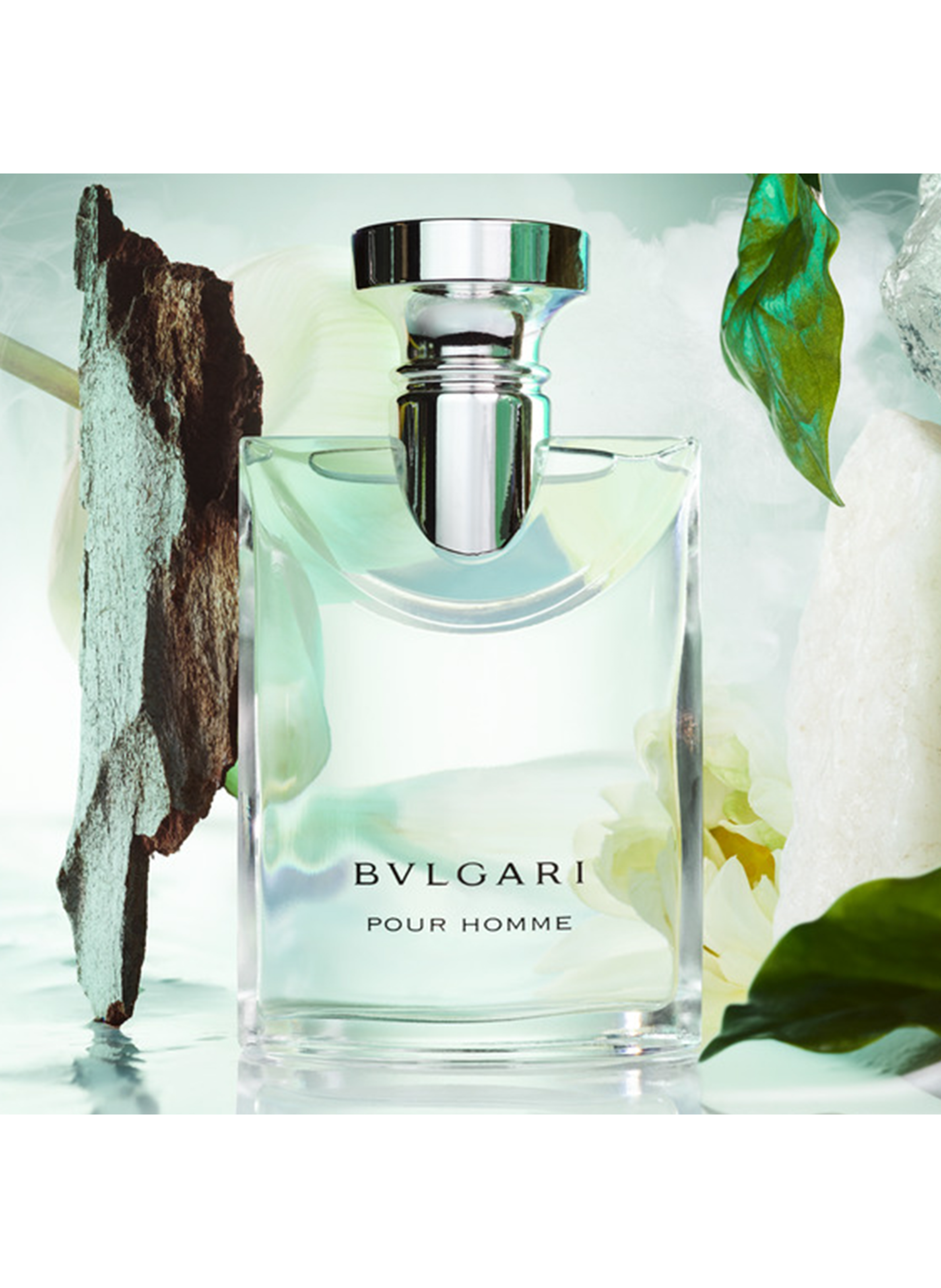 Bvlgari Pour Homme - Eau de Toilette BVLGARI No color