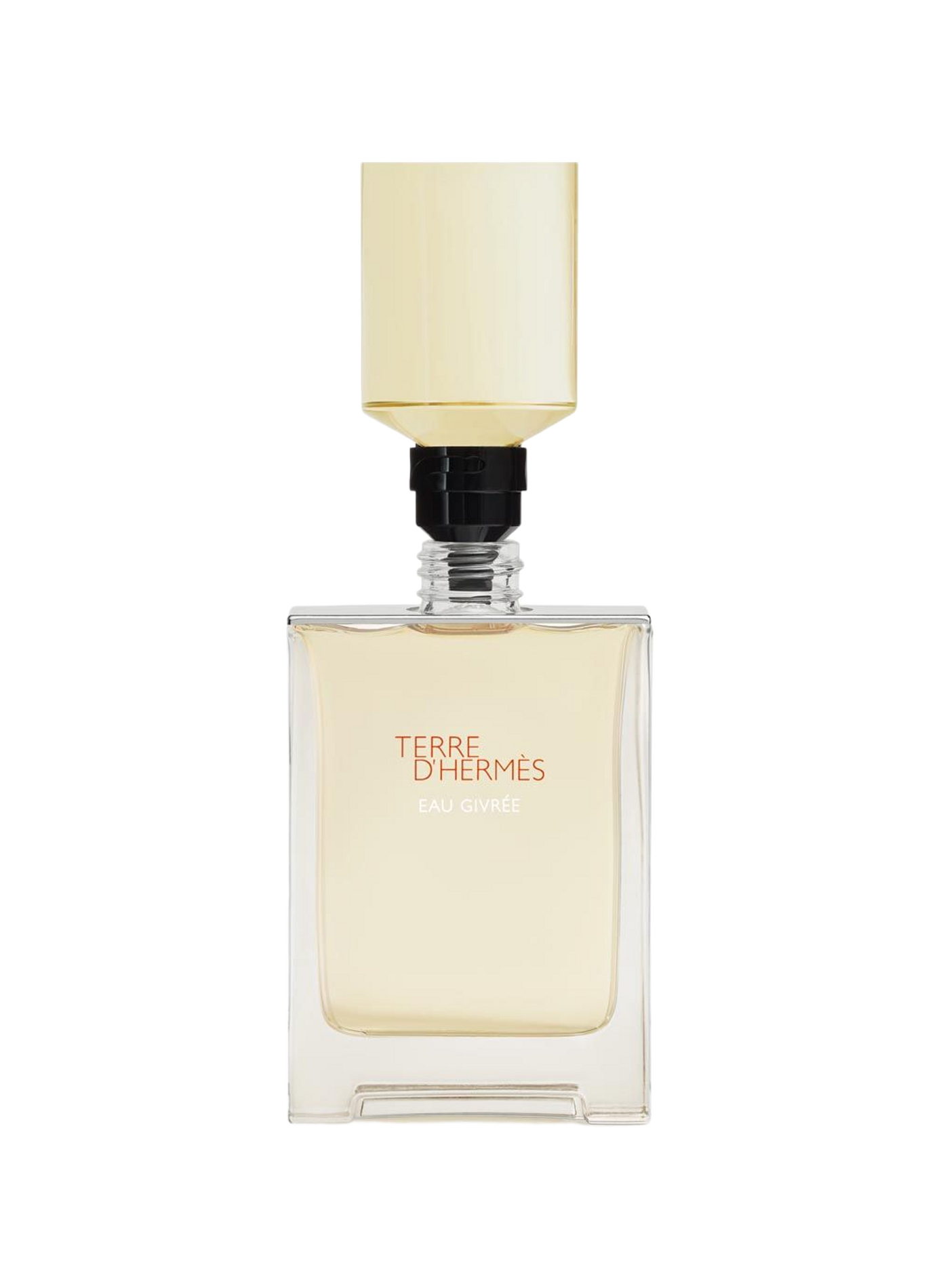 Terre d'Hermès Eau Givrée - Perfume Refill HERMÈS No color