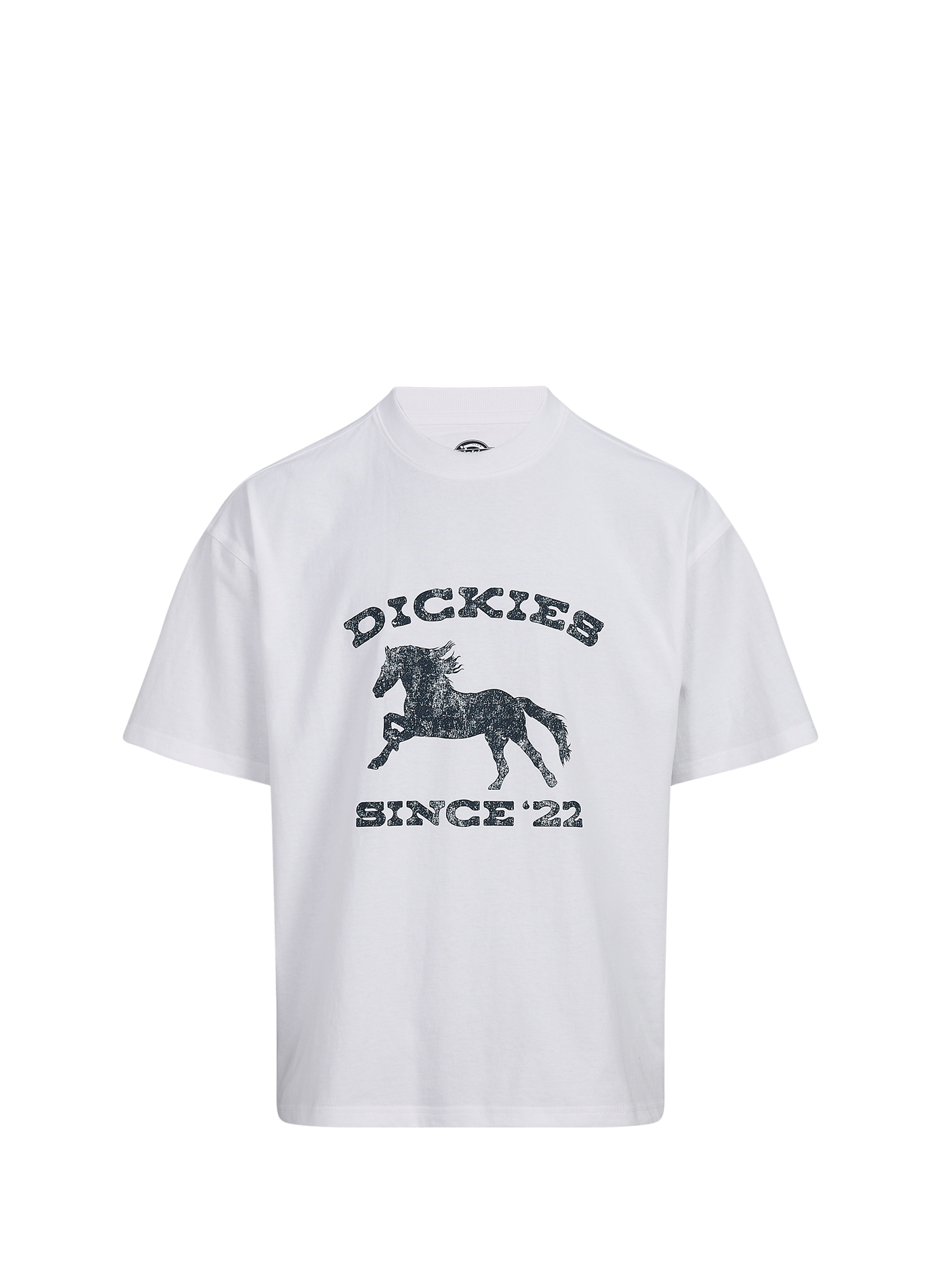 Weites Rundhals-T-Shirt aus Baumwolle DICKIES Weiss