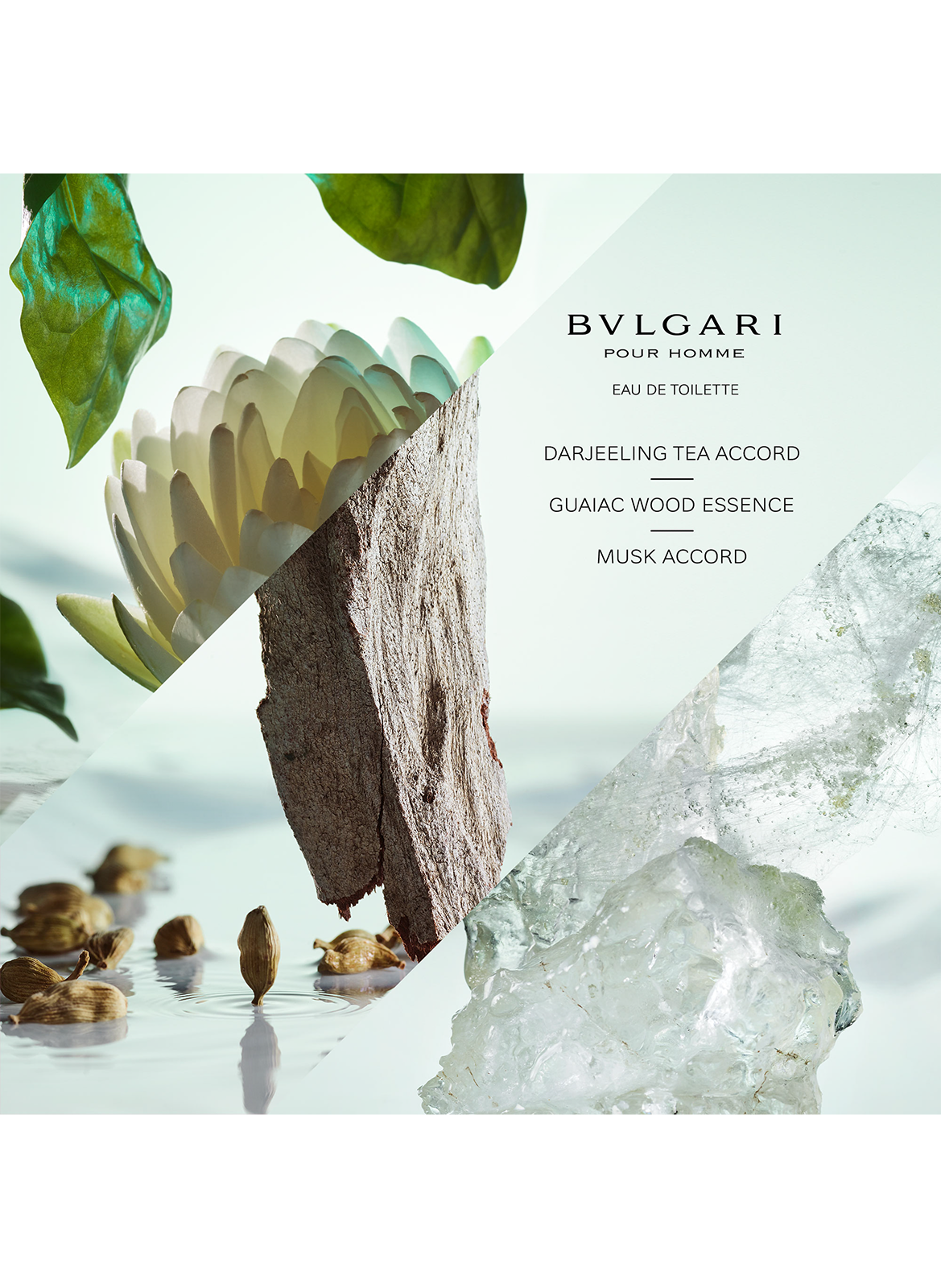 Bvlgari Pour Homme - Eau de Toilette BVLGARI No color