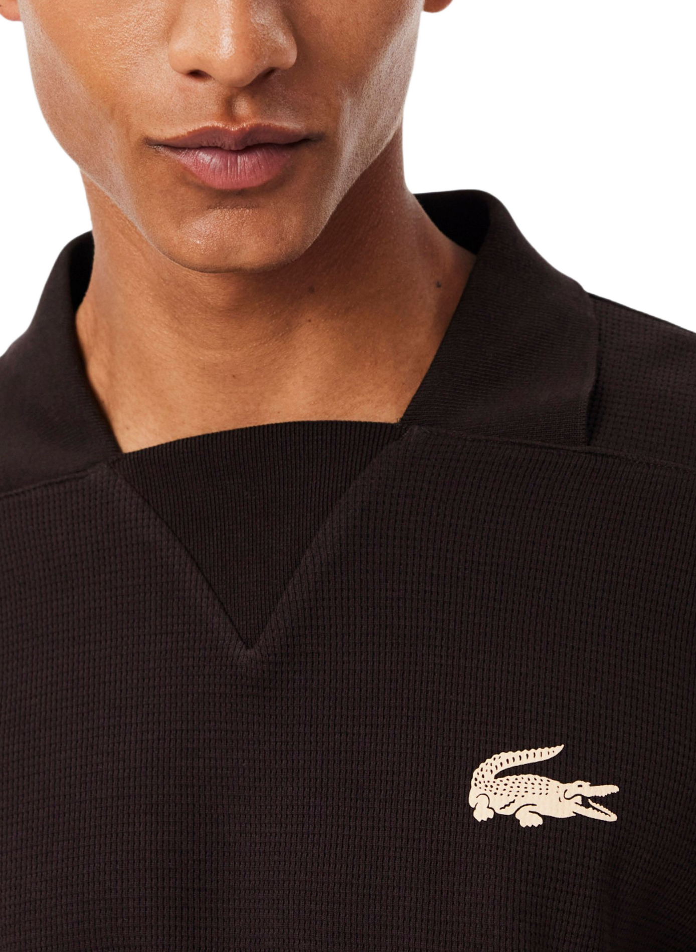 Sweat droit uni en coton LACOSTE Marron