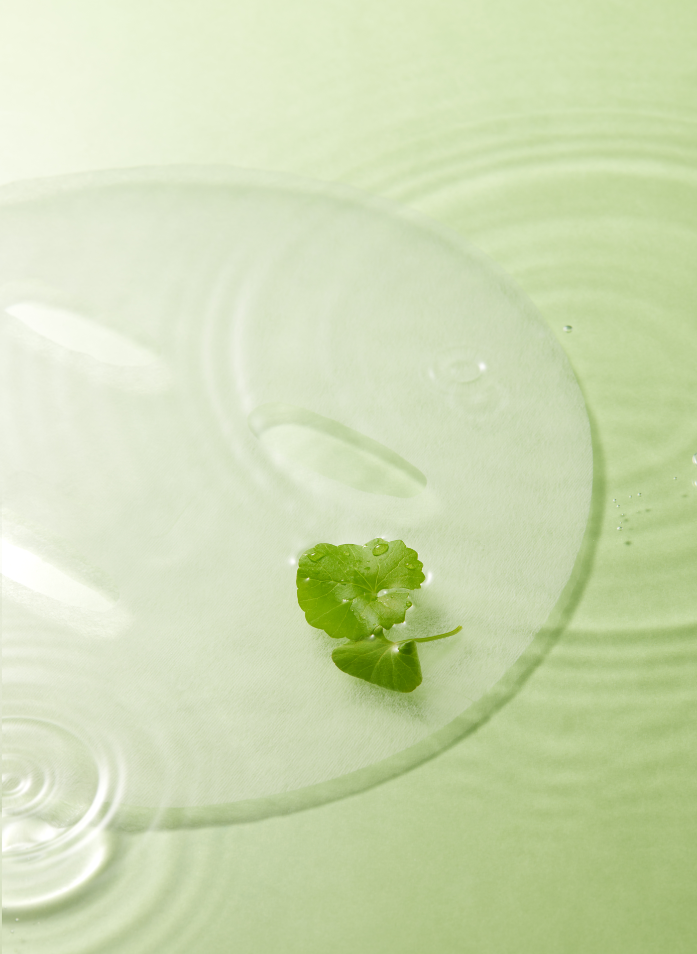 Balanceful - Masque en tissu équilibrant à l'extrait de centella asiatica TORRIDEN No color
