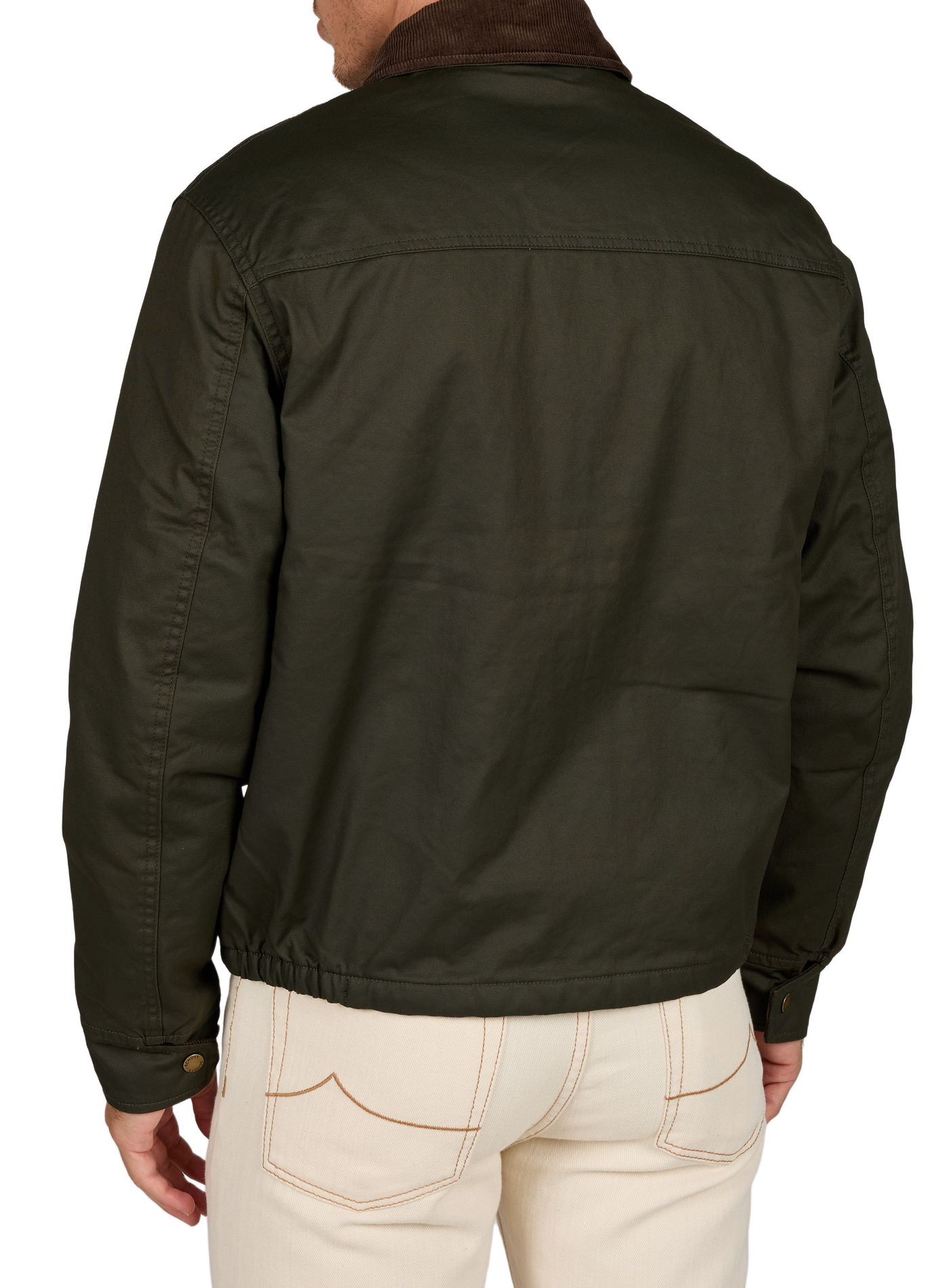 Gerade geschnittene Jacke mit geripptem Kragen aus Baumwolle SCHOTT Braun