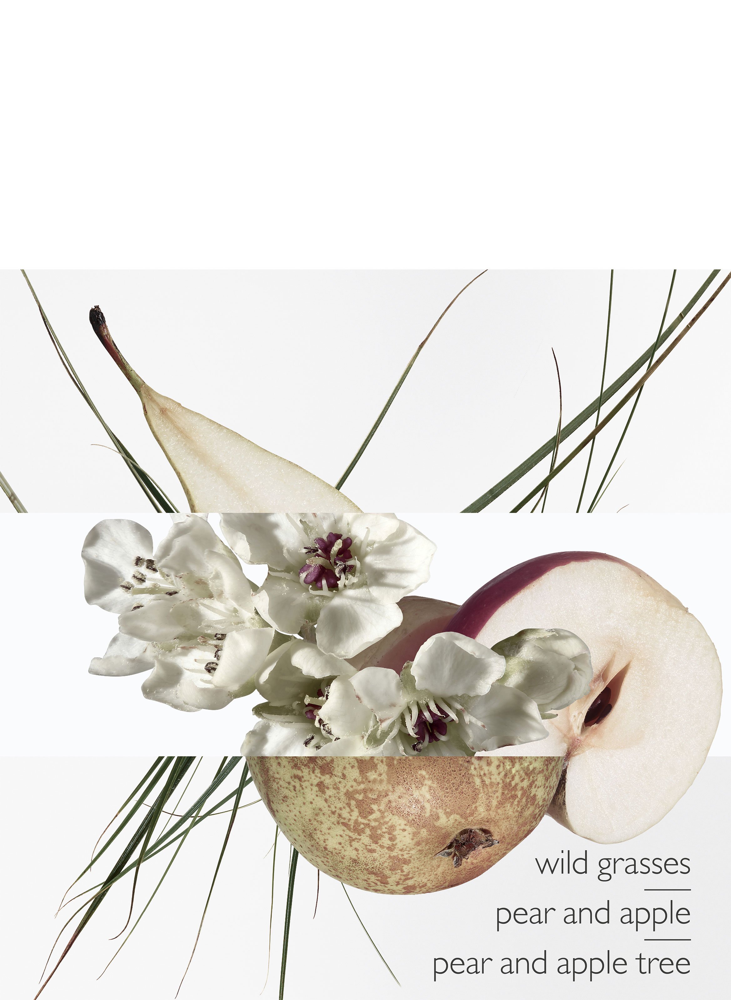 Un Jardin sur le Toit Eau de toilette HERMÈS No color