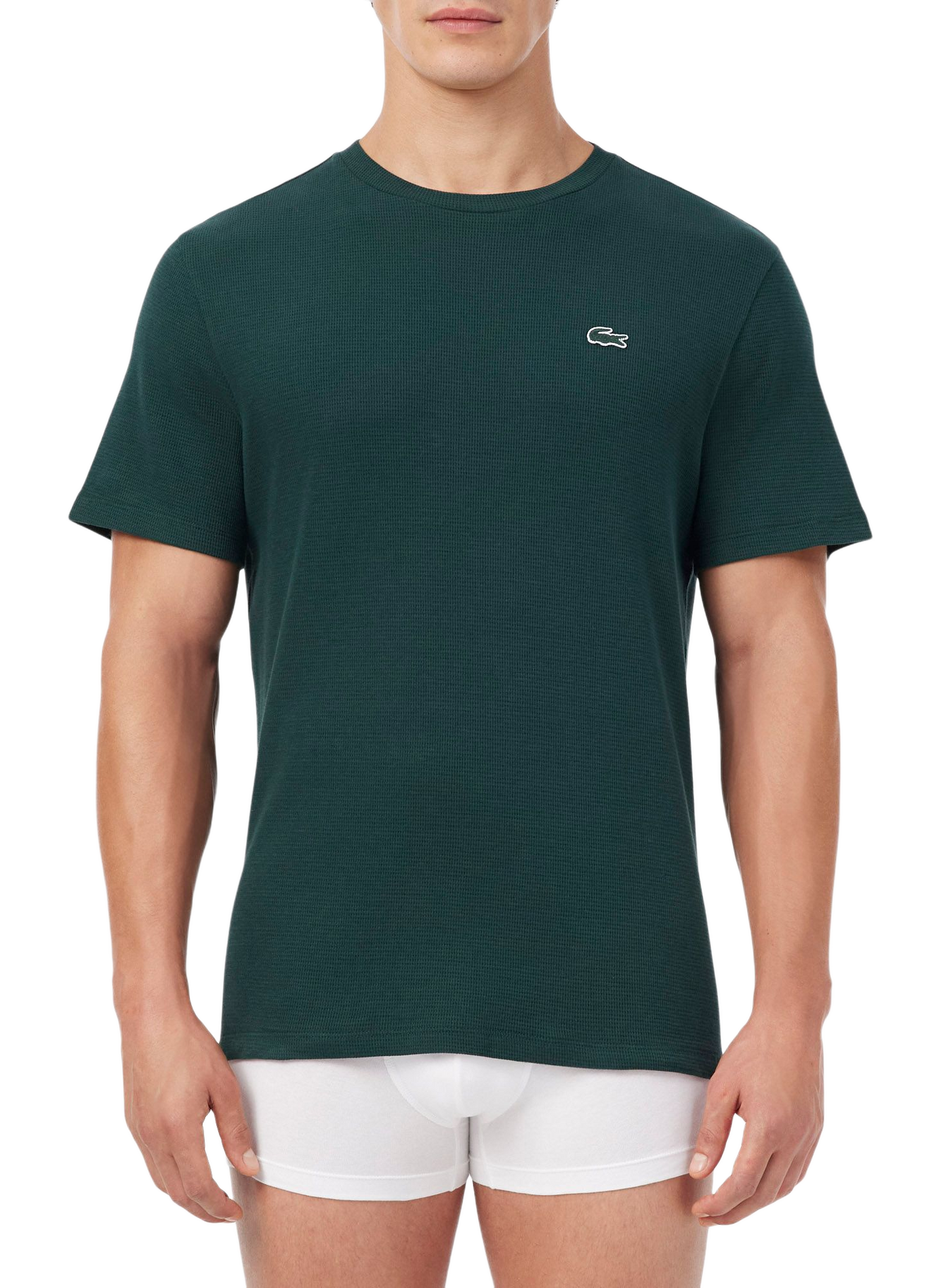 T-shirt droit col rond en coton LACOSTE Vert