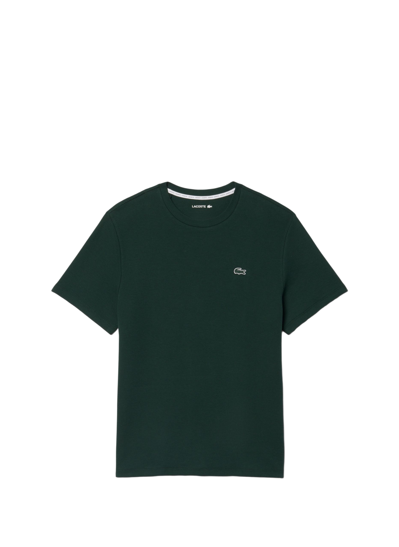 T-shirt droit col rond en coton LACOSTE Vert