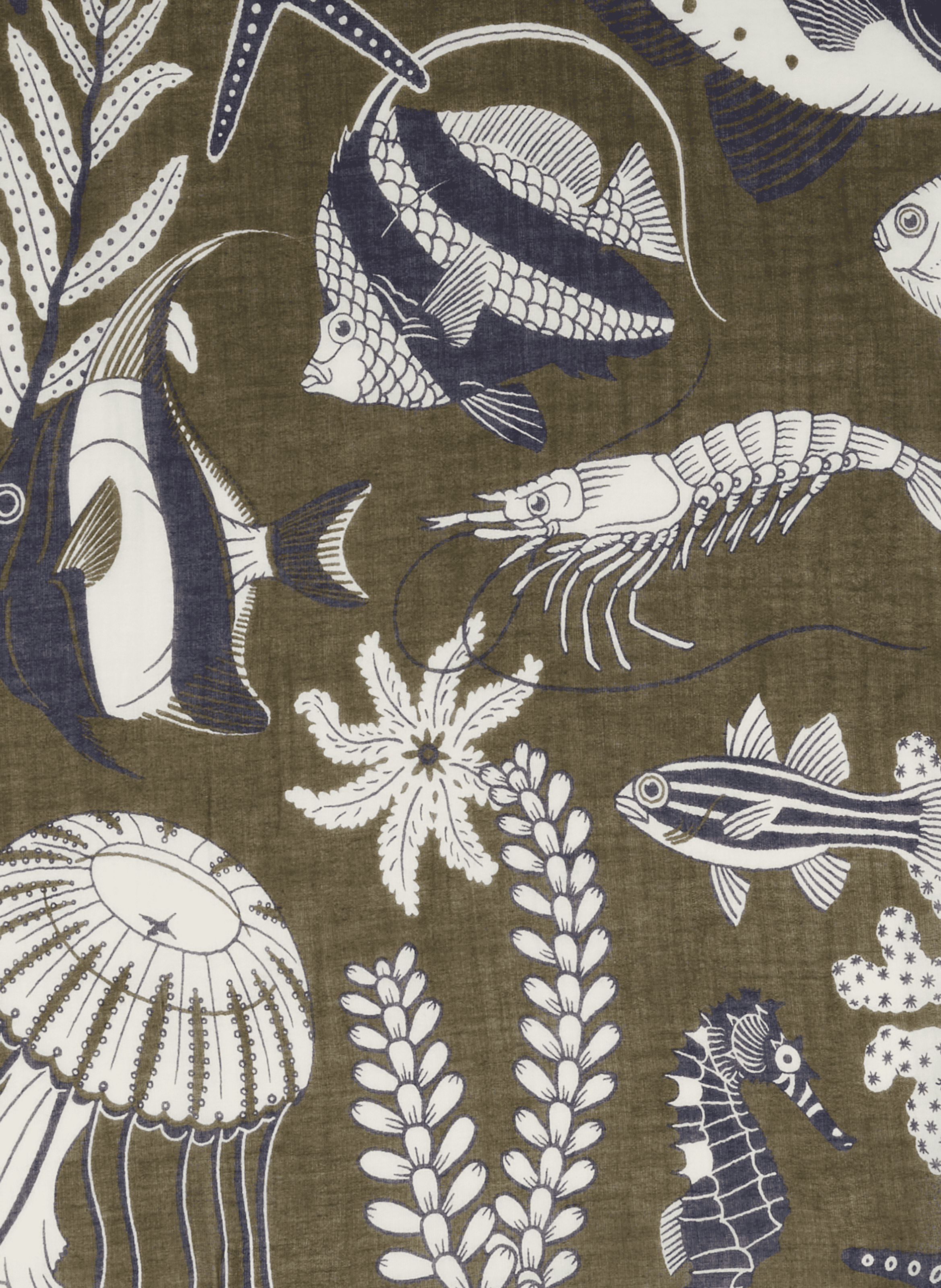 Neptune cotton scarf INOUITOOSH Khaki