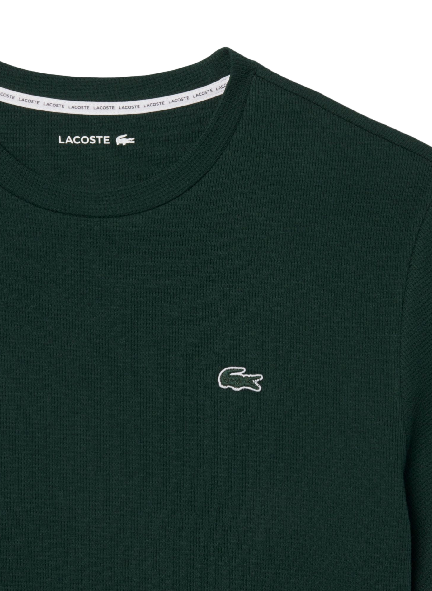 T-shirt droit col rond en coton LACOSTE Vert
