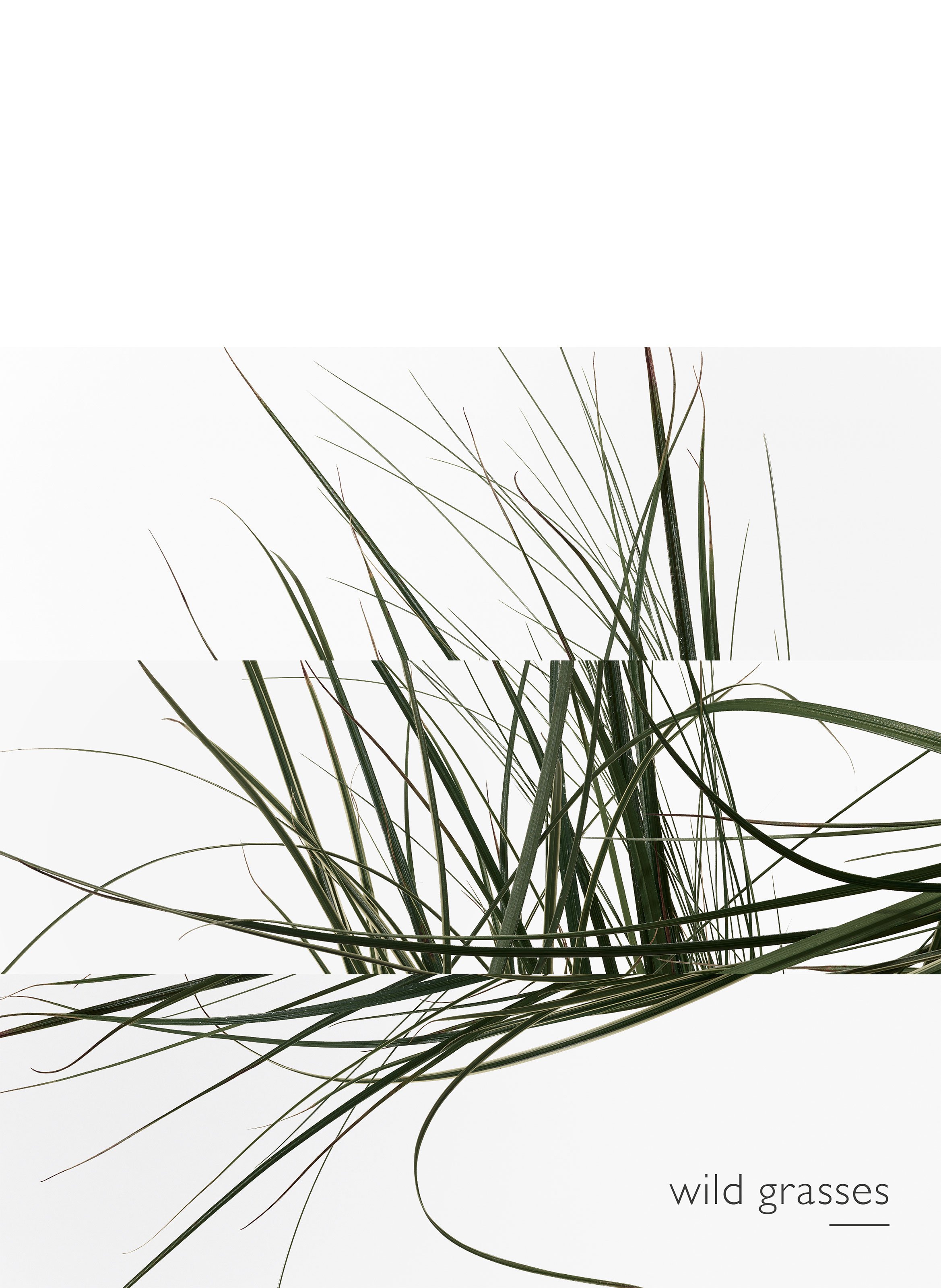 Un Jardin sur le Toit Eau de toilette HERMÈS No color