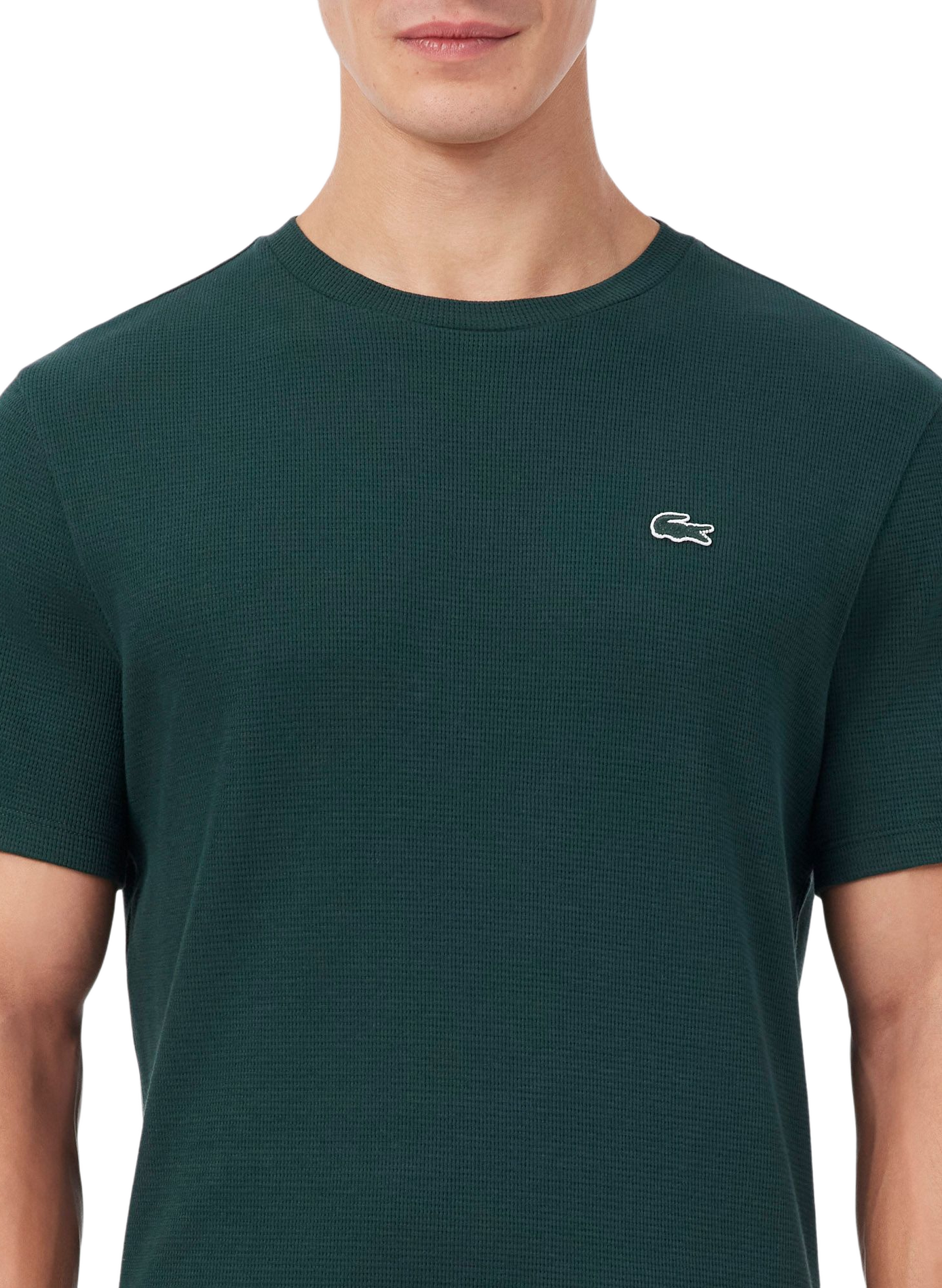 T-shirt droit col rond en coton LACOSTE Vert