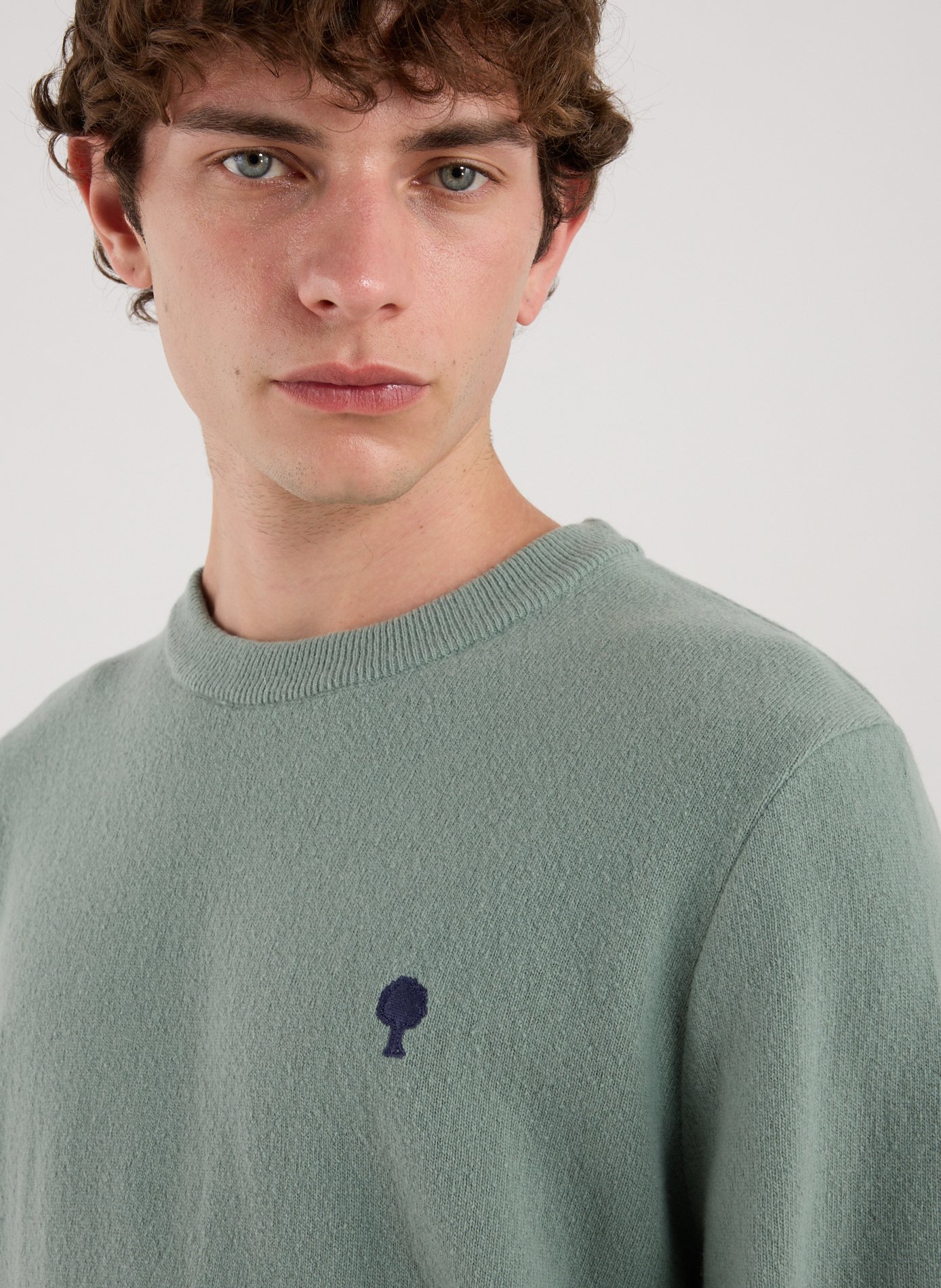 Crew-neck jumper FAGUO Green
