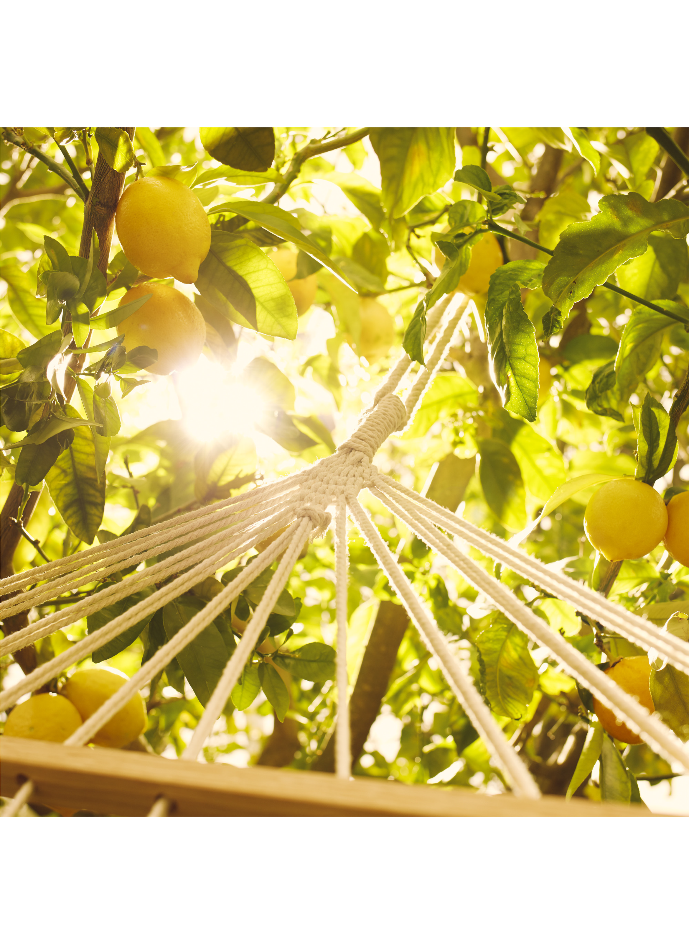 Eau de Toilette REPLICA Under the Lemon Trees MAISON MARGIELA No color