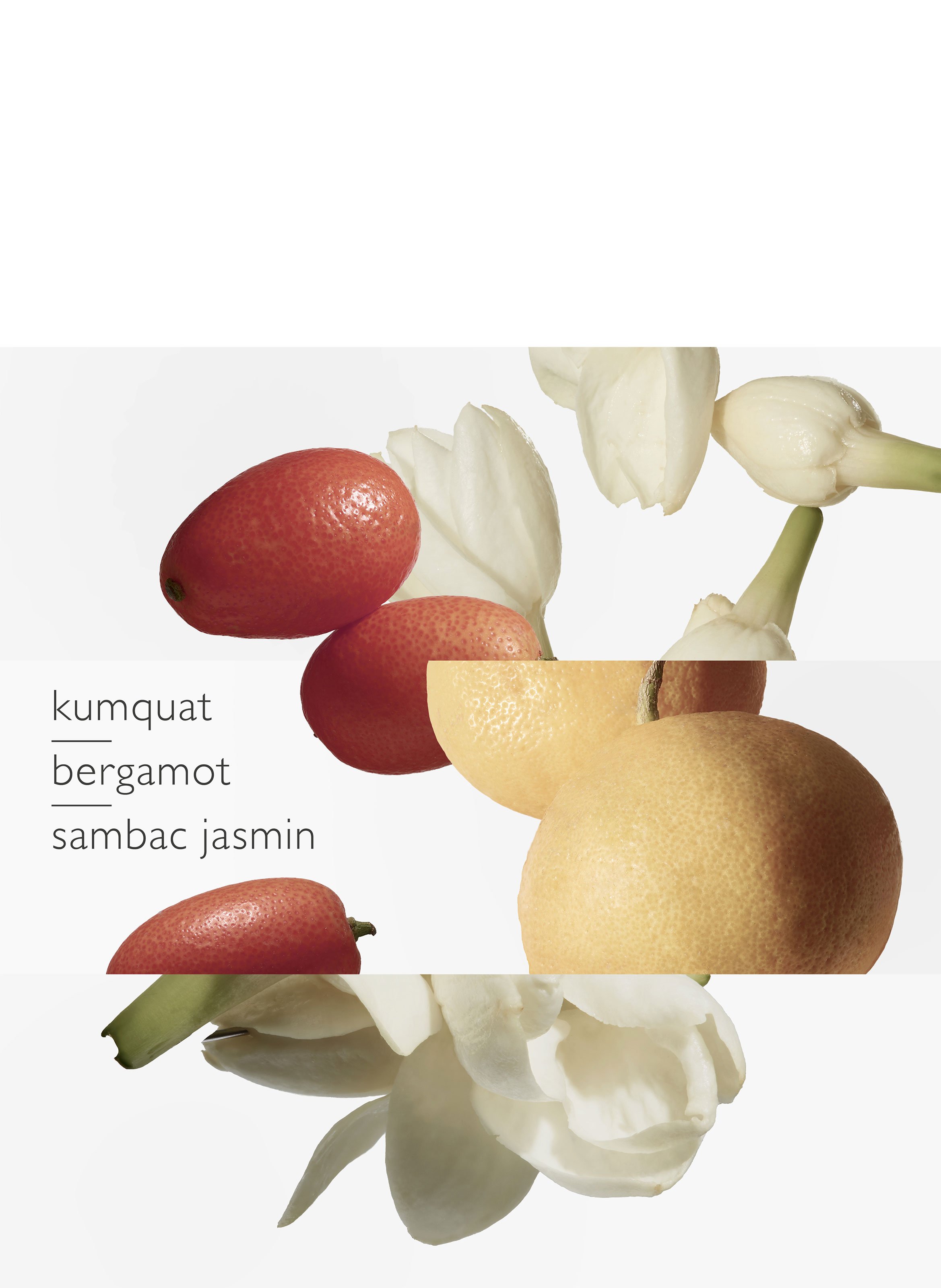 Le Jardin de Monsieur Li, Eau de Toilette Spray HERMÈS No color