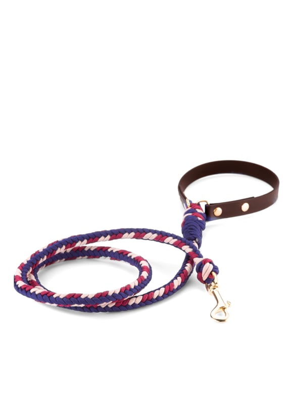 Lead MILA & COCO Lead MILA & COCO