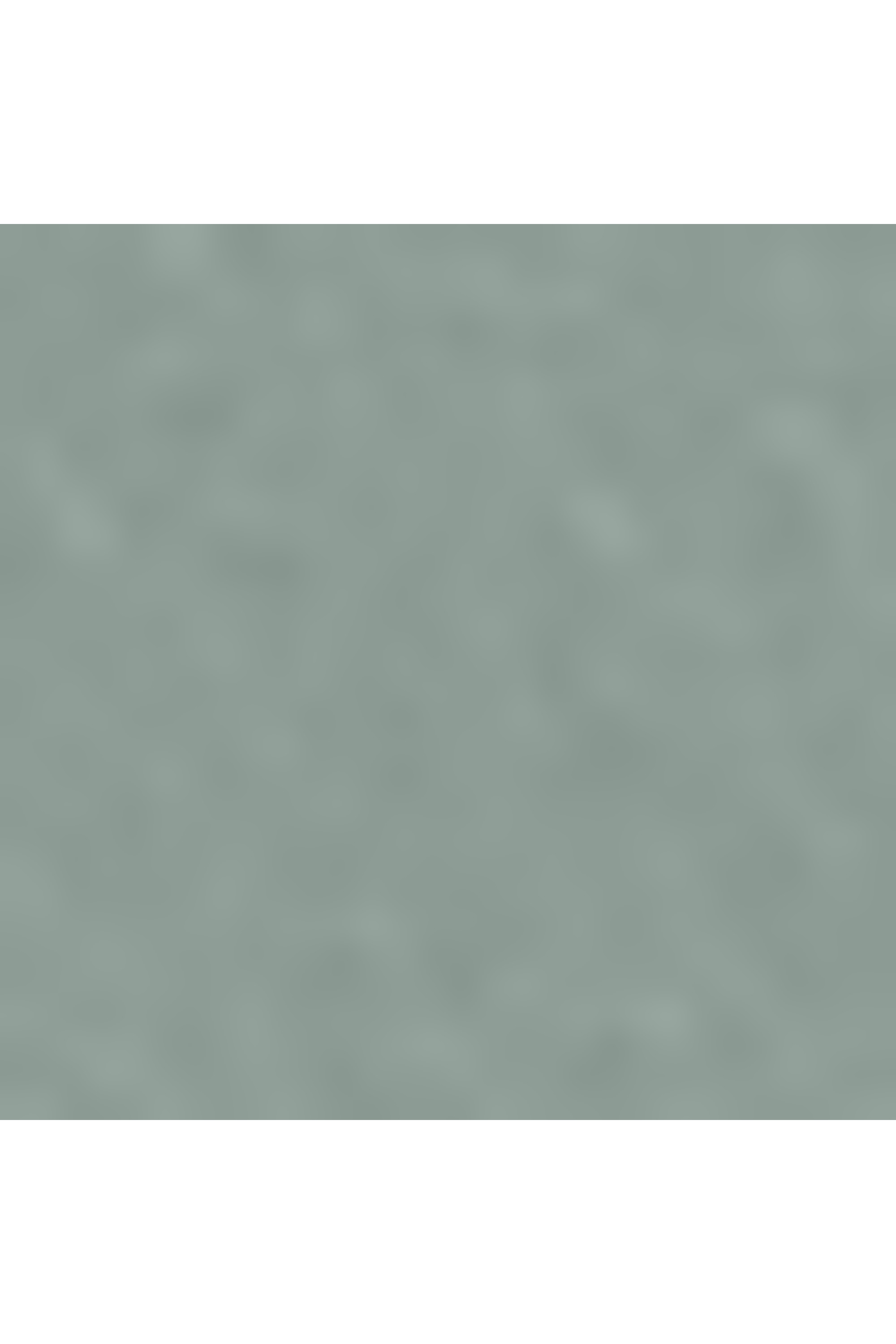 Nassau slg portefeuille taille s TUMI Vert