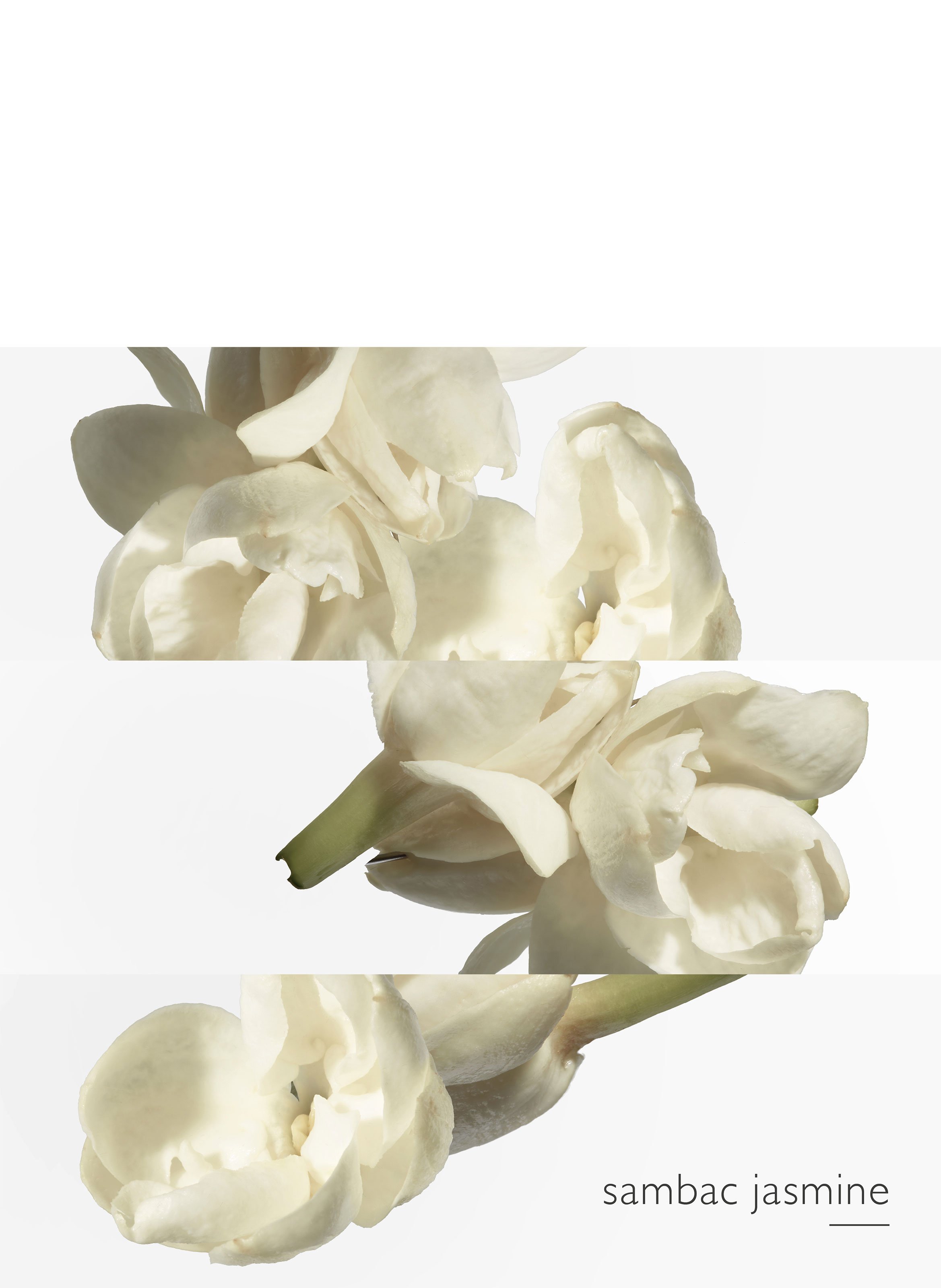 Le Jardin de Monsieur Li, Eau de Toilette Spray HERMÈS No color