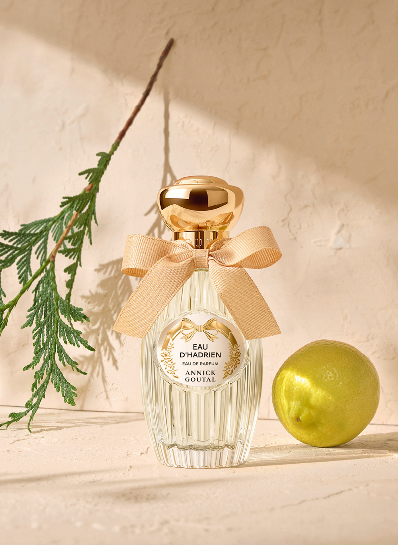 Eau d'Hadrien - Eau de Parfum 
Eau d'Hadrien - Eau de Parfum ANNICK GOUTAL No color