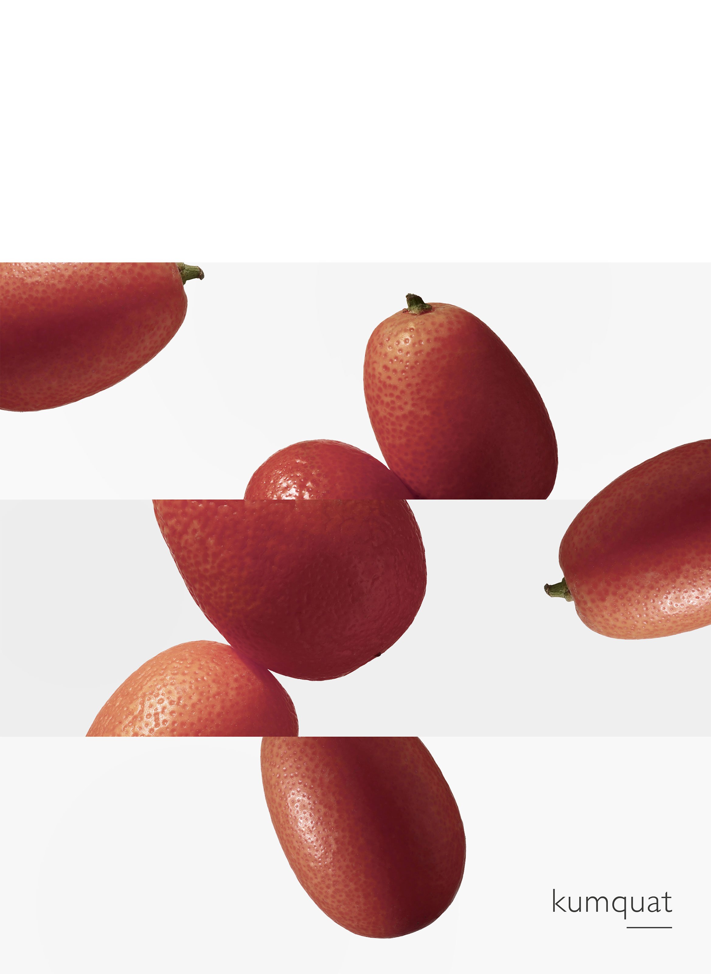 Le Jardin de Monsieur Li, Eau de Toilette Spray HERMÈS No color