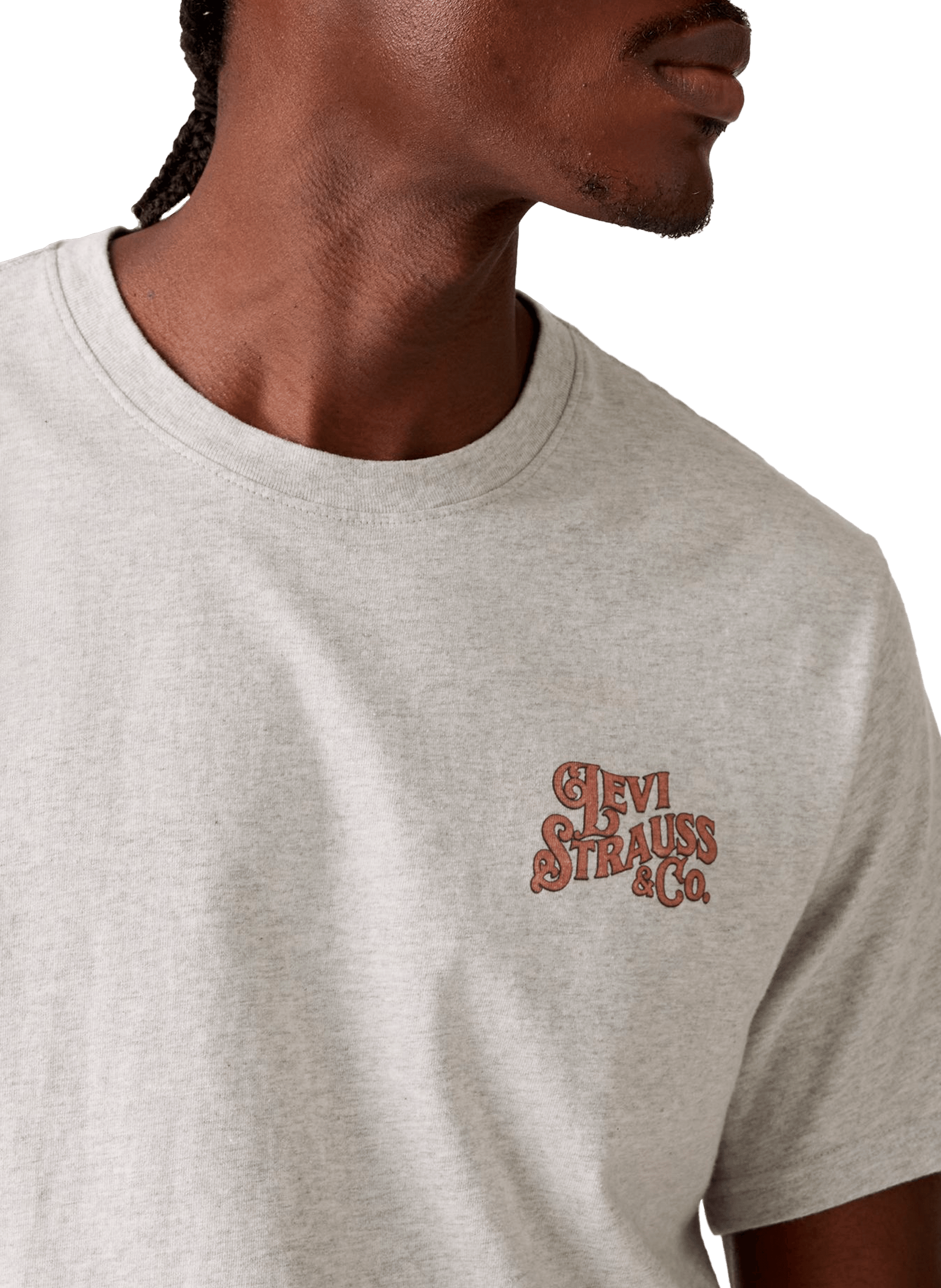 Two Horse Brand patterned T-shirt LEVI'S Grey