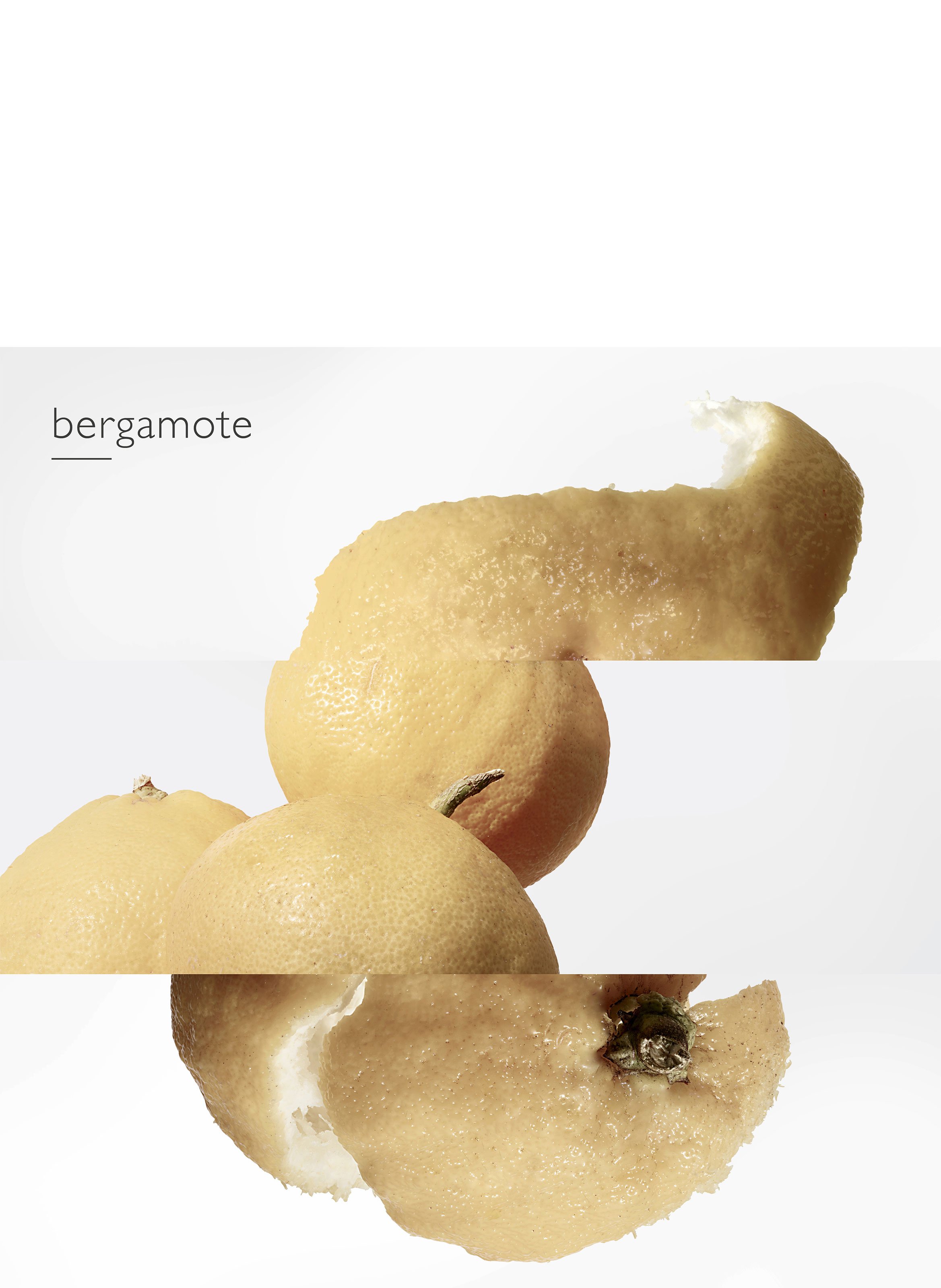 Le Jardin de Monsieur Li, Eau de Toilette Spray HERMÈS No color