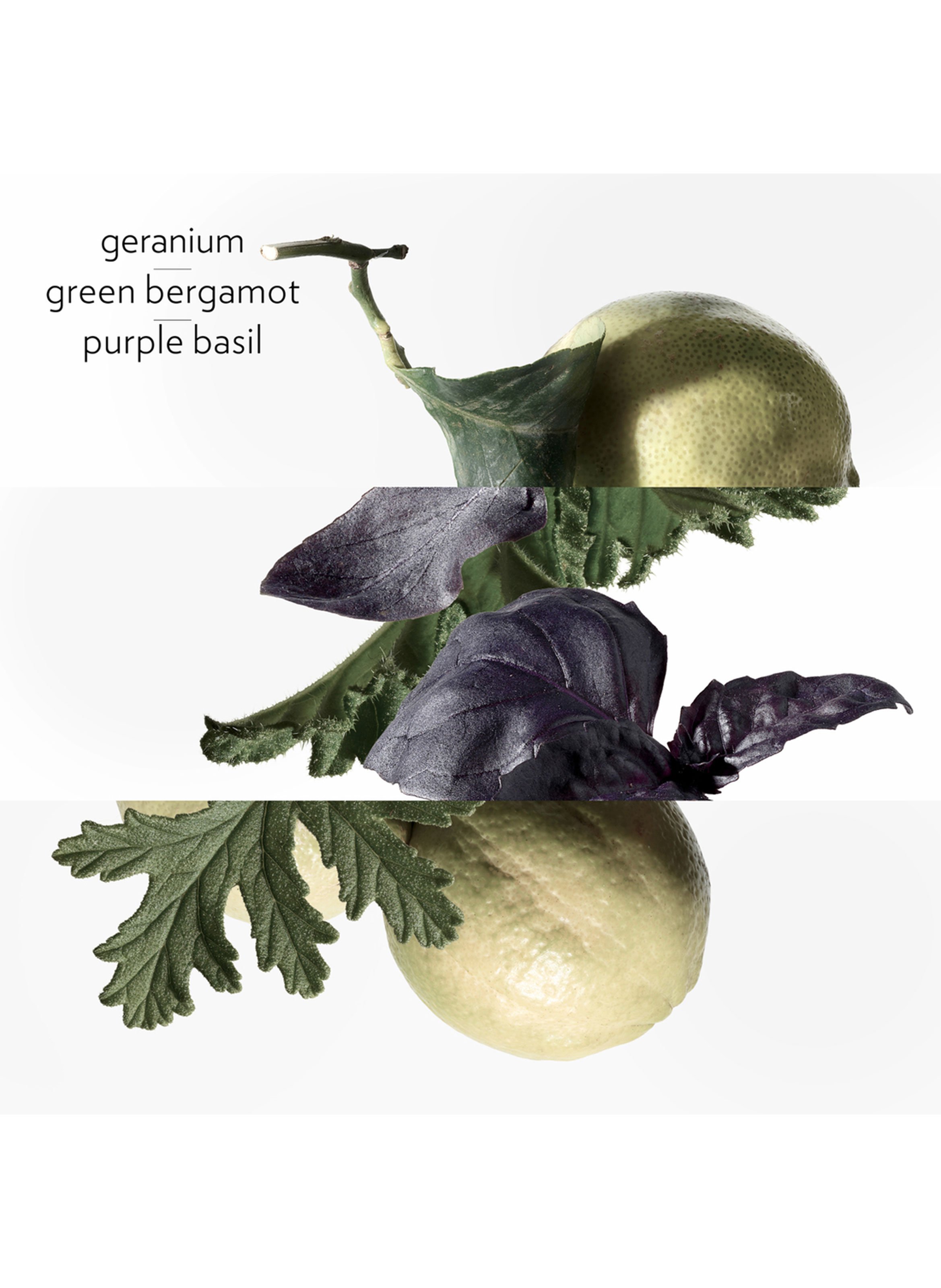 Eau de Basilic Pourpre eau de cologne HERMÈS No color