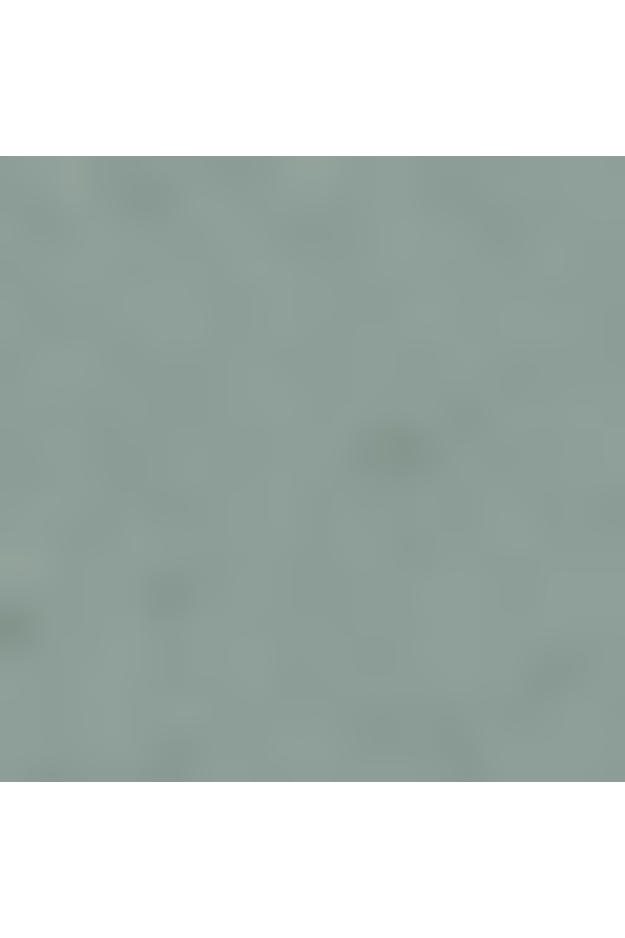 Belden slg portefeuille taille s TUMI Vert