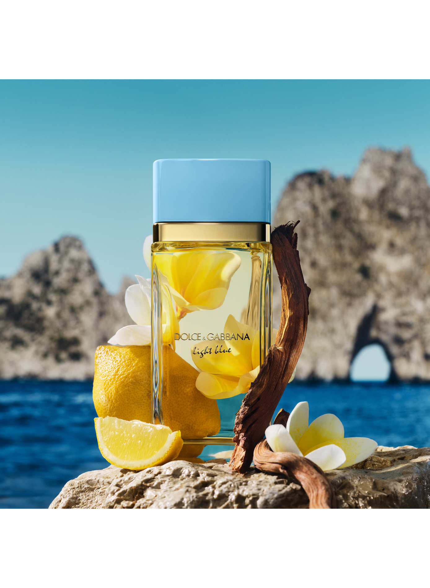 Light Blue - Eau de Parfum DOLCE & GABBANA No color