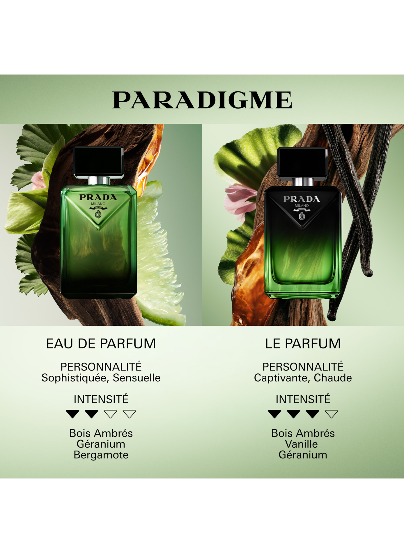 Paradigma - Houtachtig amber heren Eau de Parfum navulbaar PRADA No color