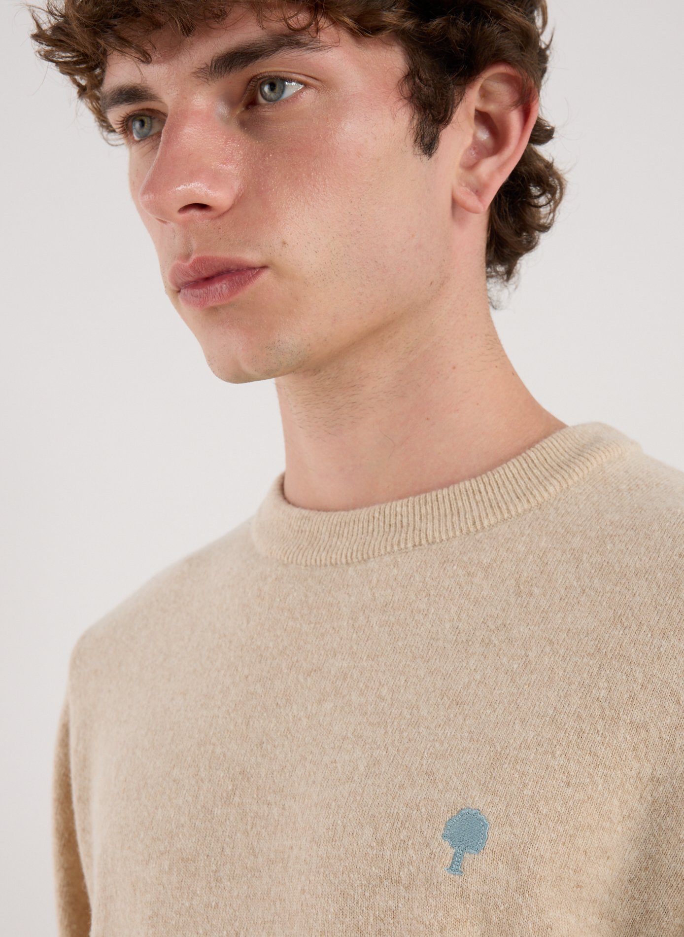 Crew-neck jumper FAGUO Beige