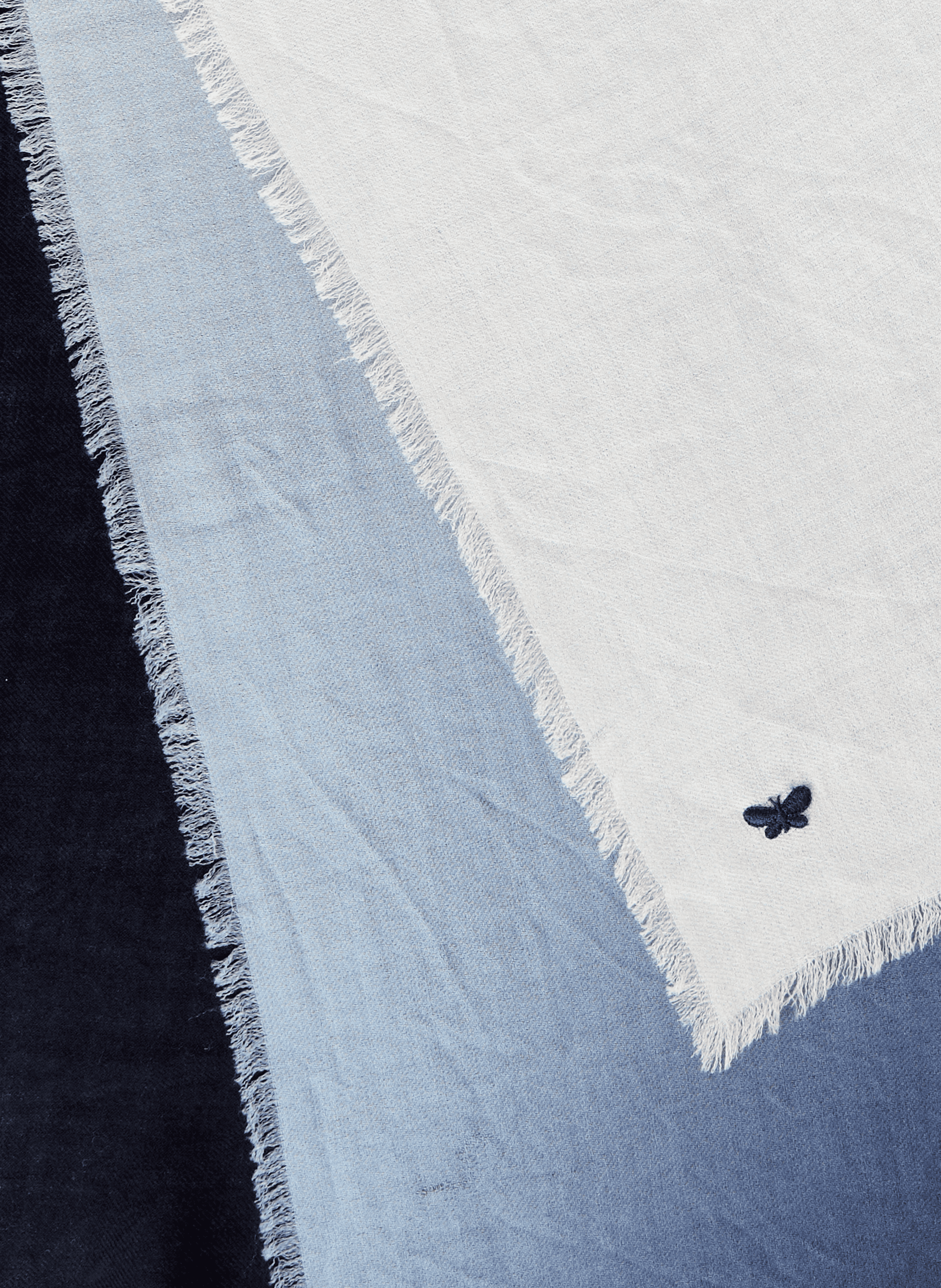 Wool shawl with fringed edges MAX MARA WEEK END Blue