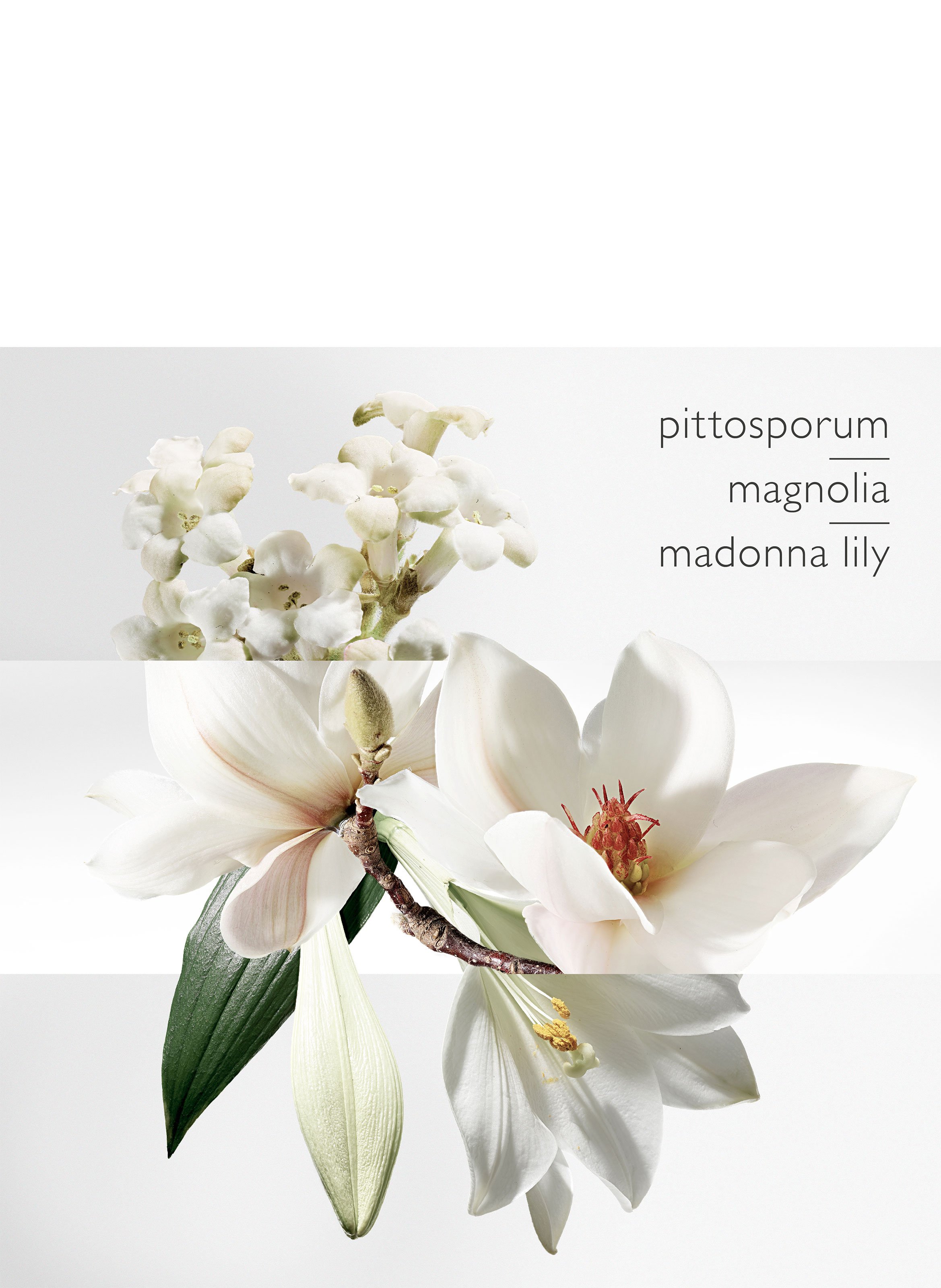 Un Jardin sur la Lagune Eau de toilette HERMÈS No color