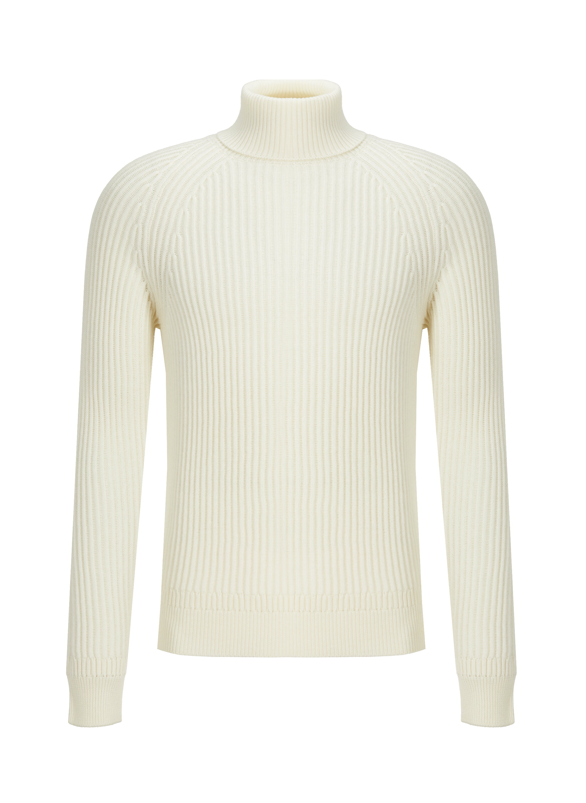 Pull col roulé en laine vierge