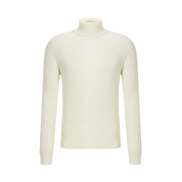 Pull col roulé en laine vierge