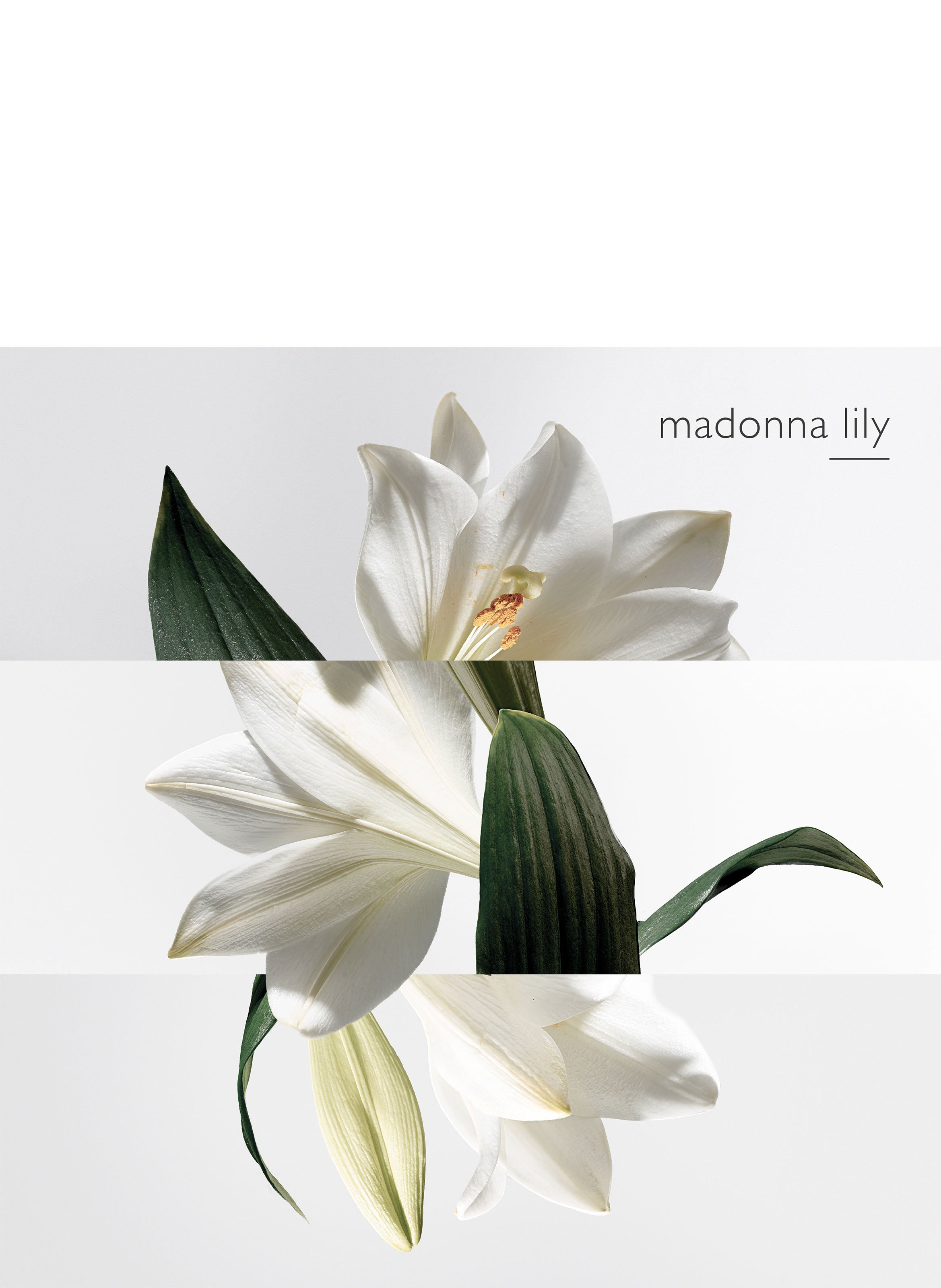 Un Jardin sur la Lagune Eau de toilette HERMÈS No color