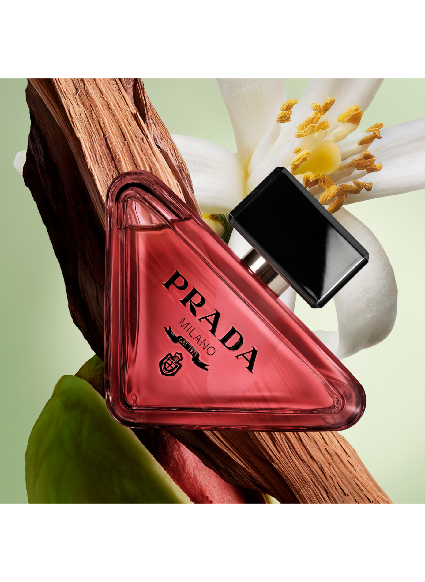 Paradox - Radical Essence Recharge Perfume floral amber woody PRADA No color