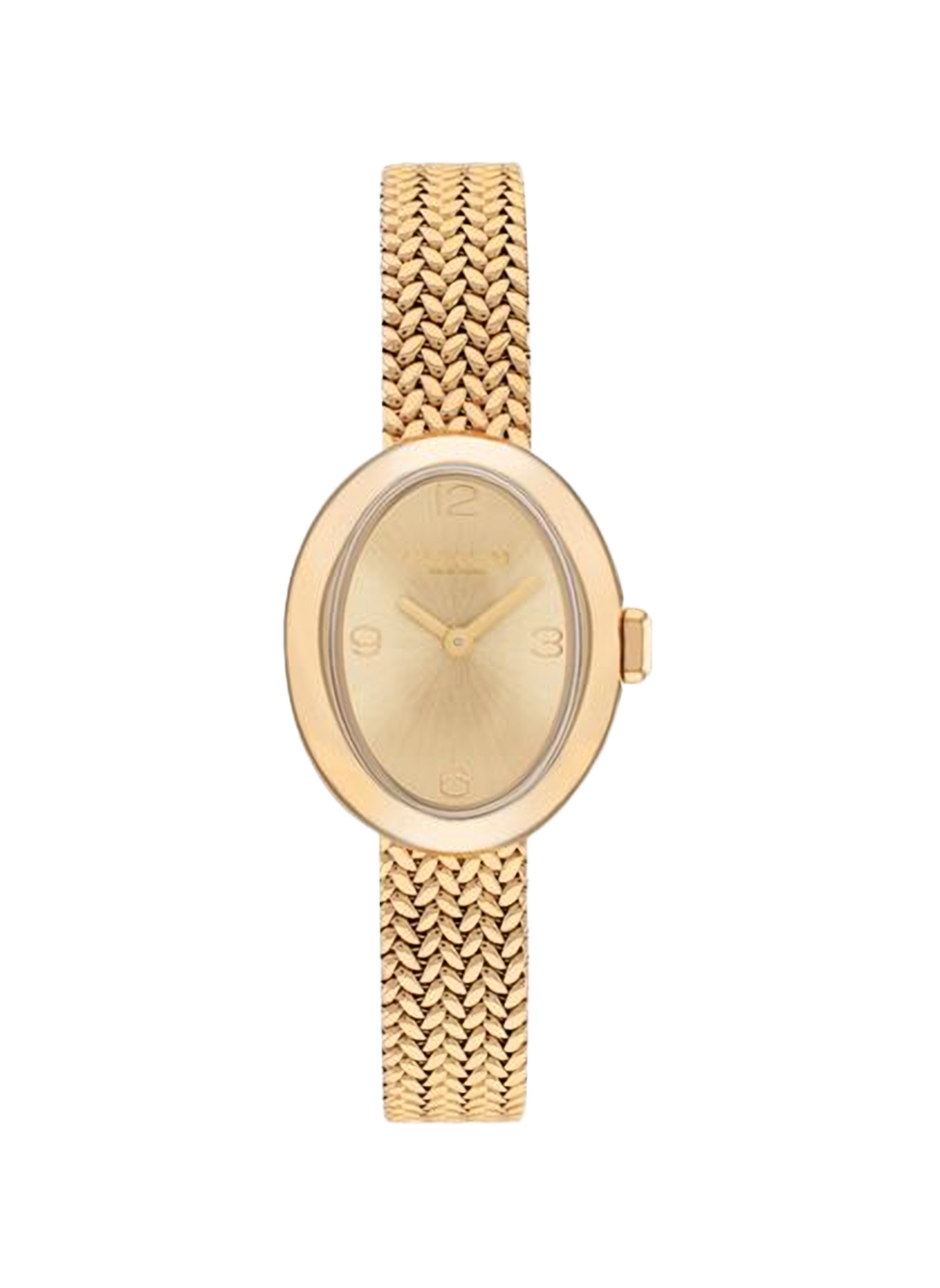 Montre quartz Sammy en acier inoxydable COACH MONTRES Doré