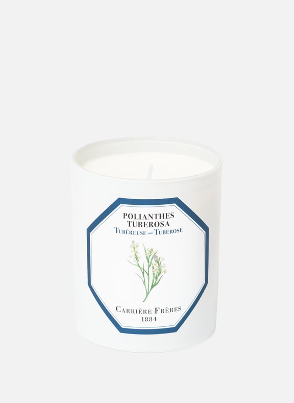 Tuberosa Scented Candle - Tuberosa Polishes - 185 g (6.5 oz) by CARRIERE FRERES CARRIERE FRERES Tuberosa Scented Candle - Tuberosa Polishes - 185 g (6.5 oz)