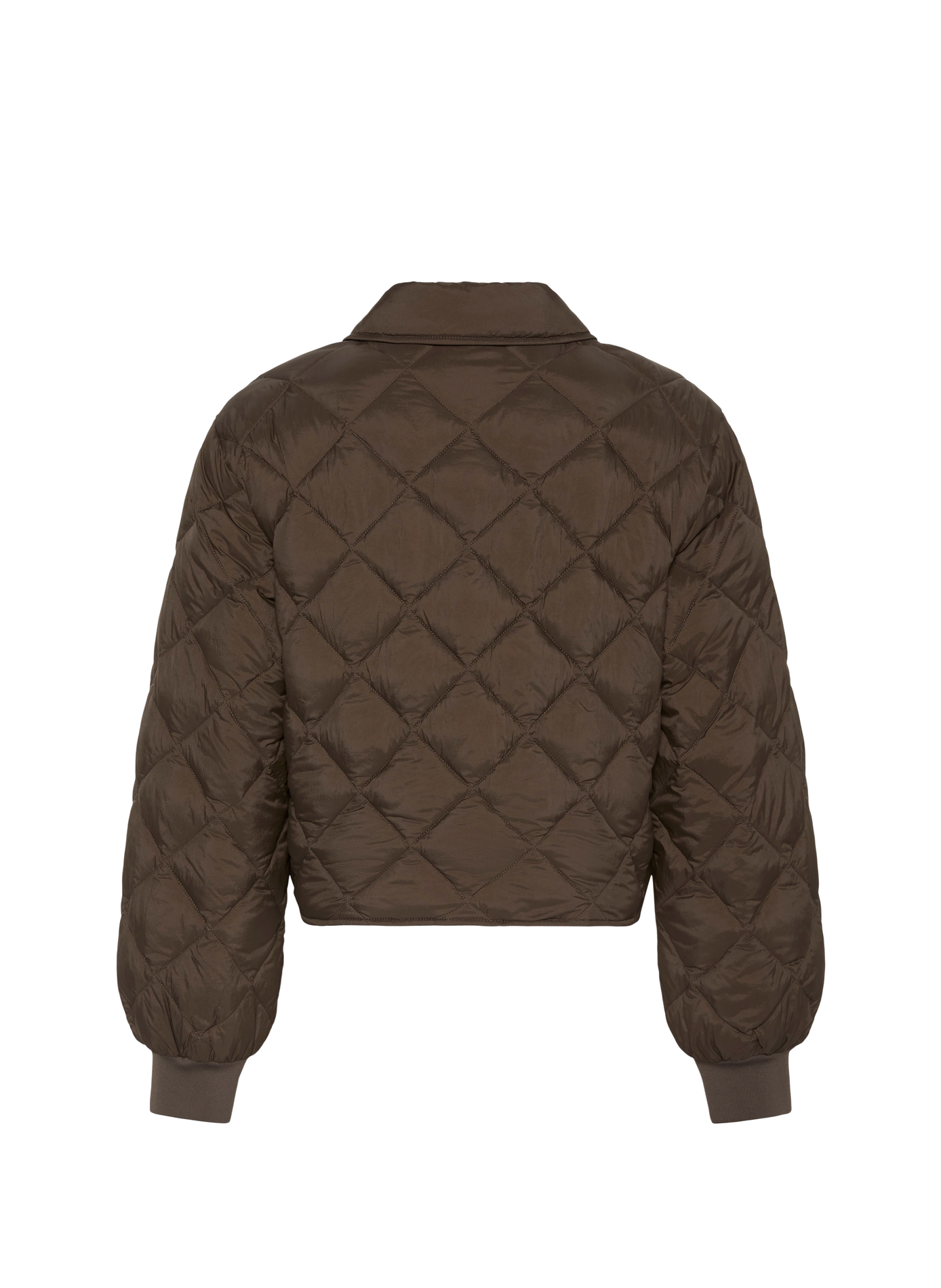 Blouson court matelassé à col classique CALVIN KLEIN Marron