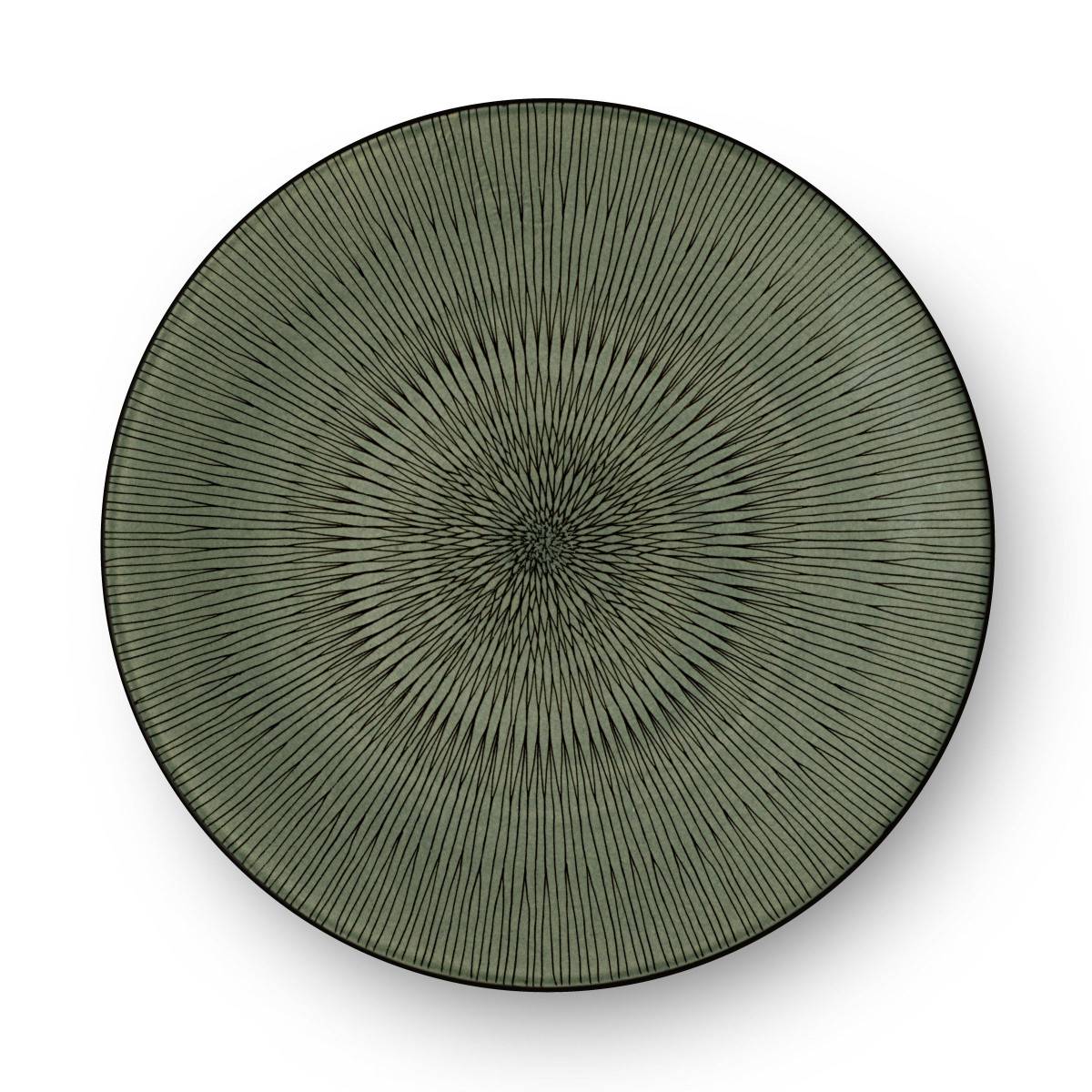 Hypnose - assiette plate 27 cm (lot de 6) MEDARD DE NOBLAT Vert