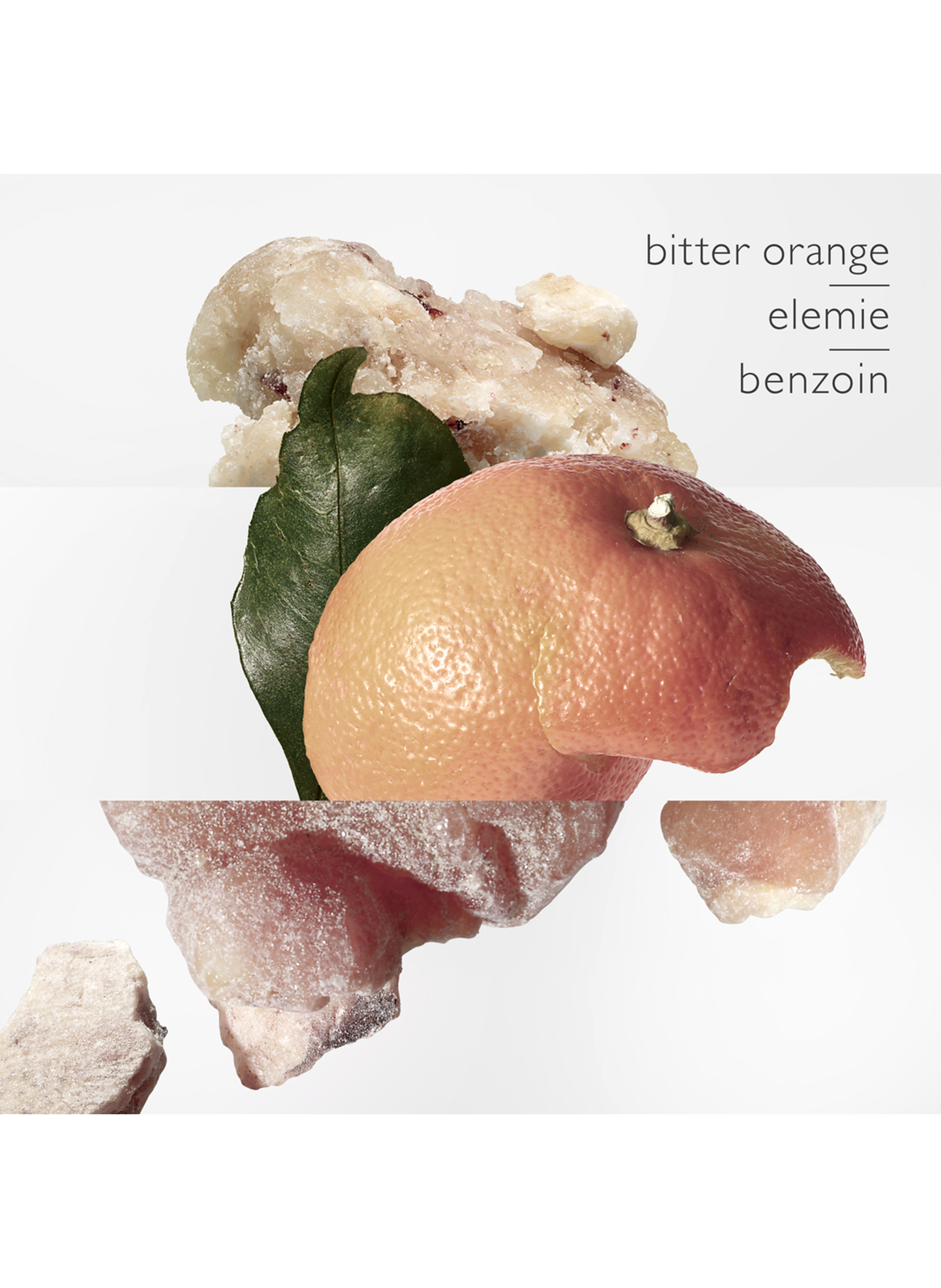 Eau des Merveilles - Recharge Eau de Toilette No color