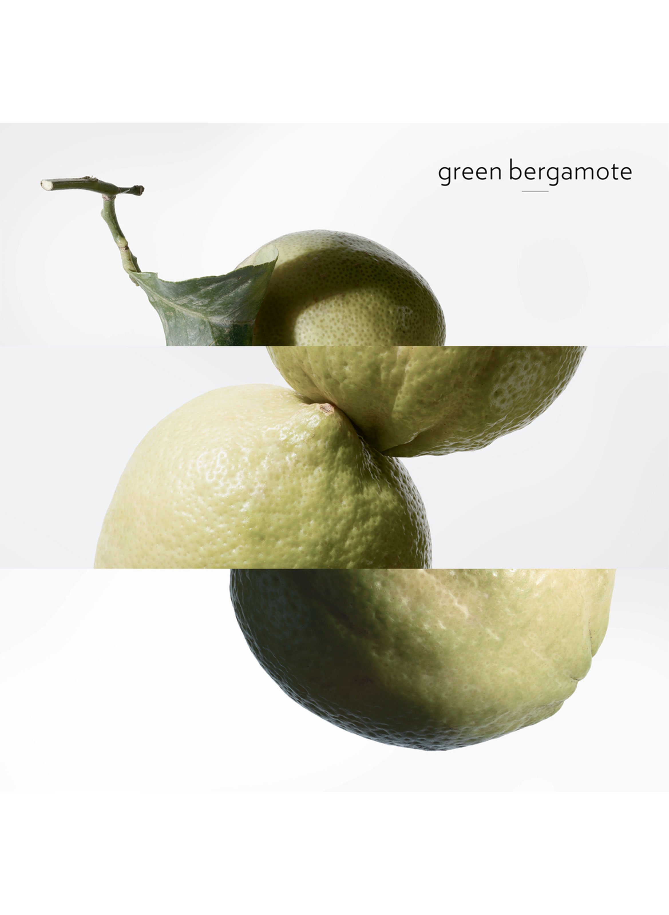 Eau de Basilic Pourpre scented soap HERMÈS No color