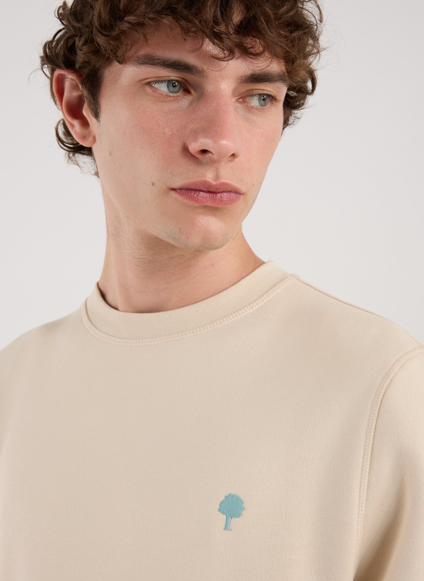 Cotton sweatshirt FAGUO Beige