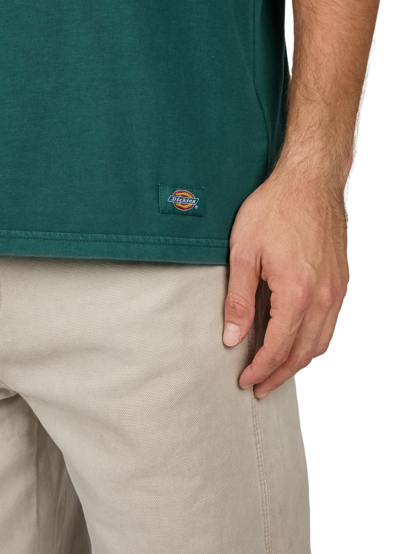 Oversized round neck cotton t-shirt DICKIES Green